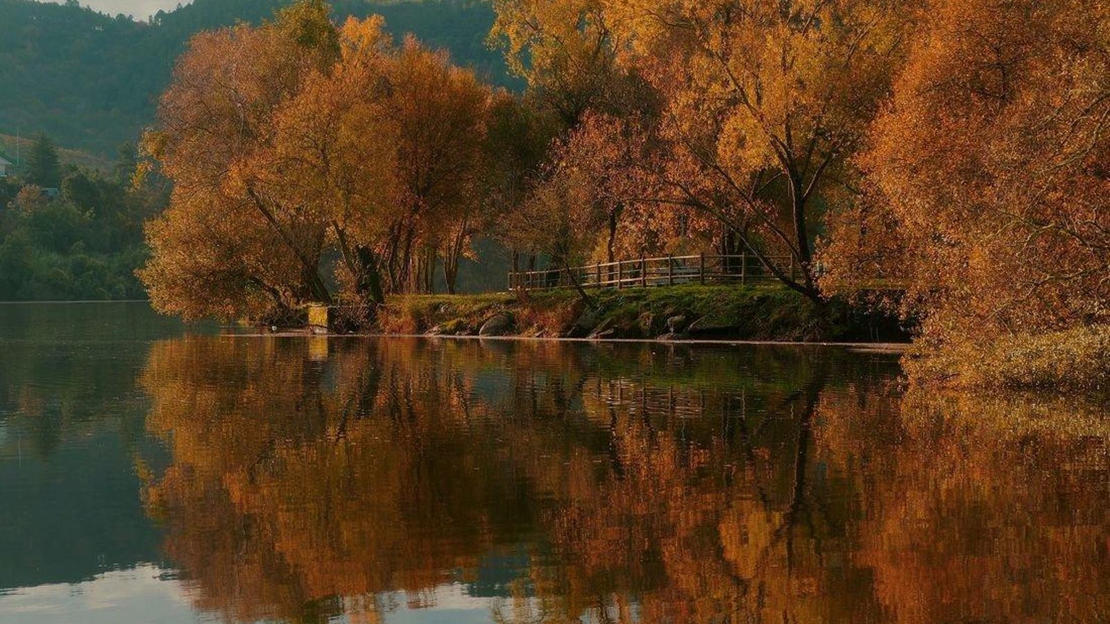 autumn-3869362_1920_resultado