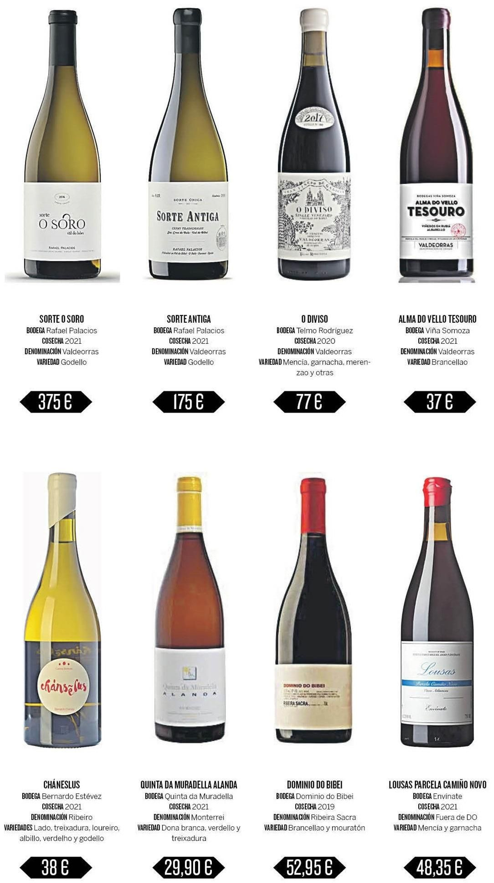 El defensor de los vinos que adora Valdeorras