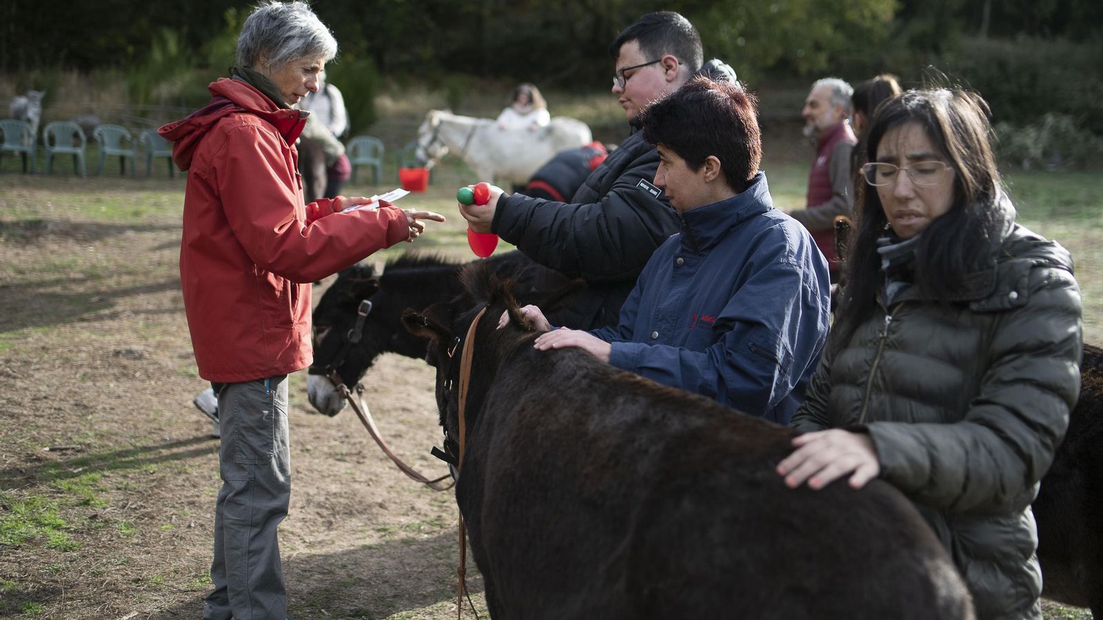 Burros Varios Limisi