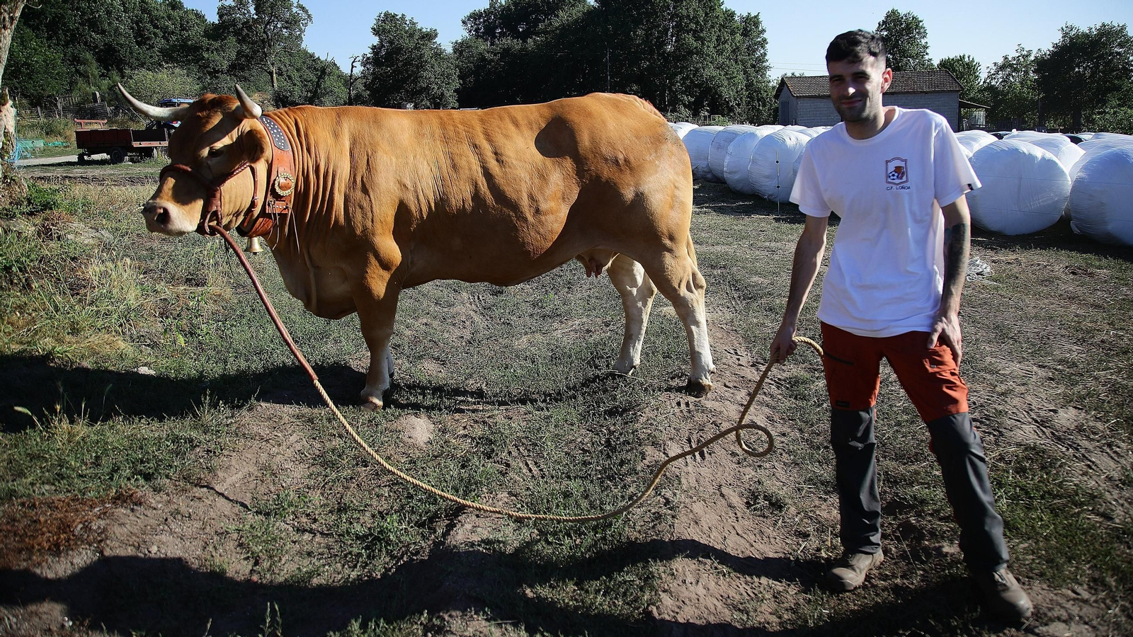Álvaro Rodríguez como Paloma, Miss Vaca 2026.