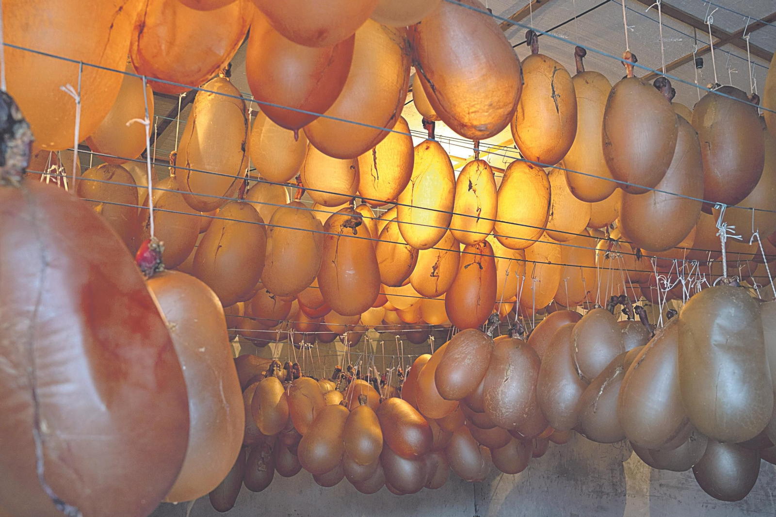 Uns centos das miles de vexigas que se empregarán este Entroido.