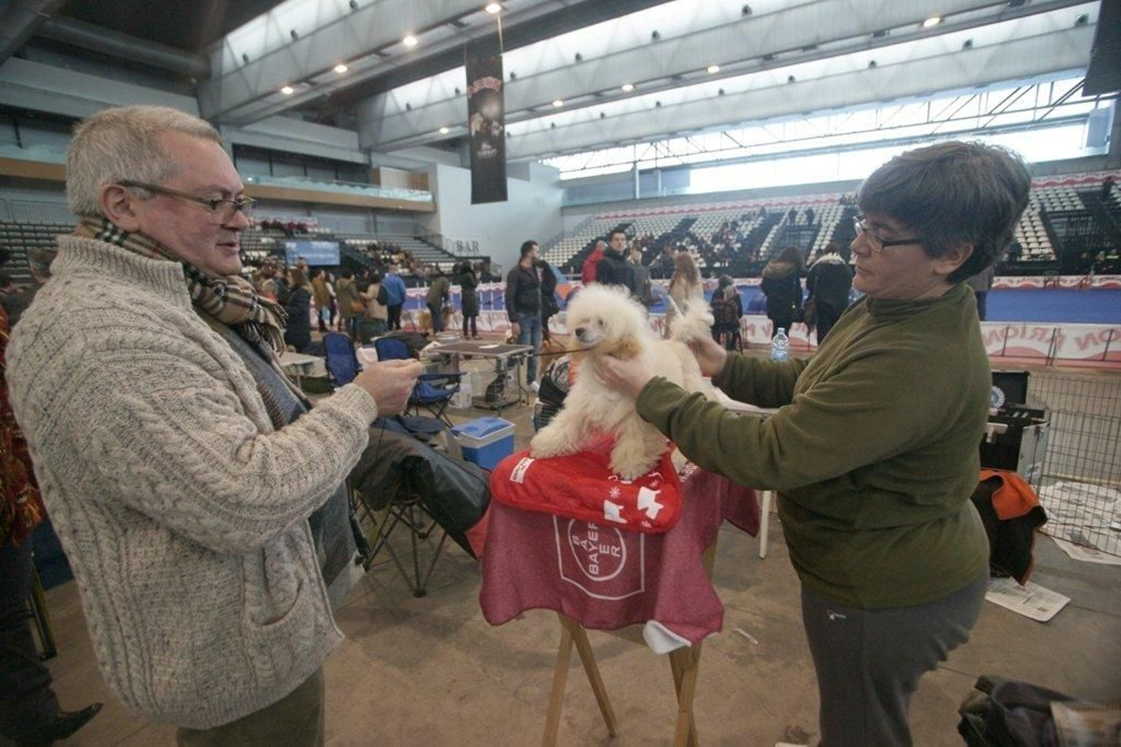 Exposición Canina en el Ifevi Foto Vicente11