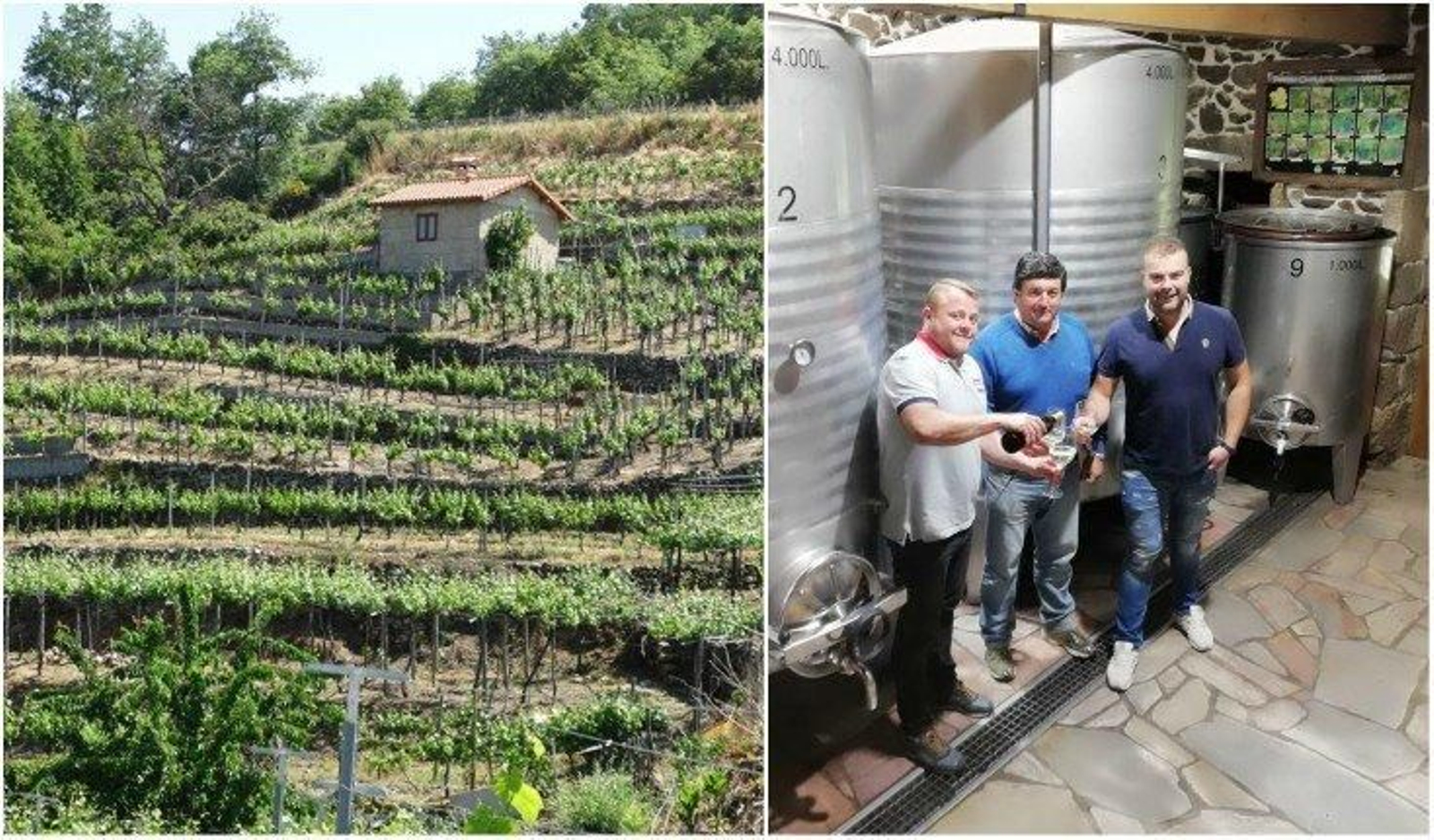 La bodega –al fondo–con las viñas ladera abajo, en Soutomanco (Trasalba) (i), y Jorge, Camilo y Javier, en su bodega (d)