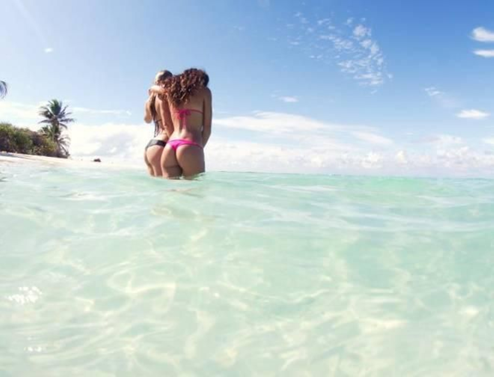 Calendario Reef 2012