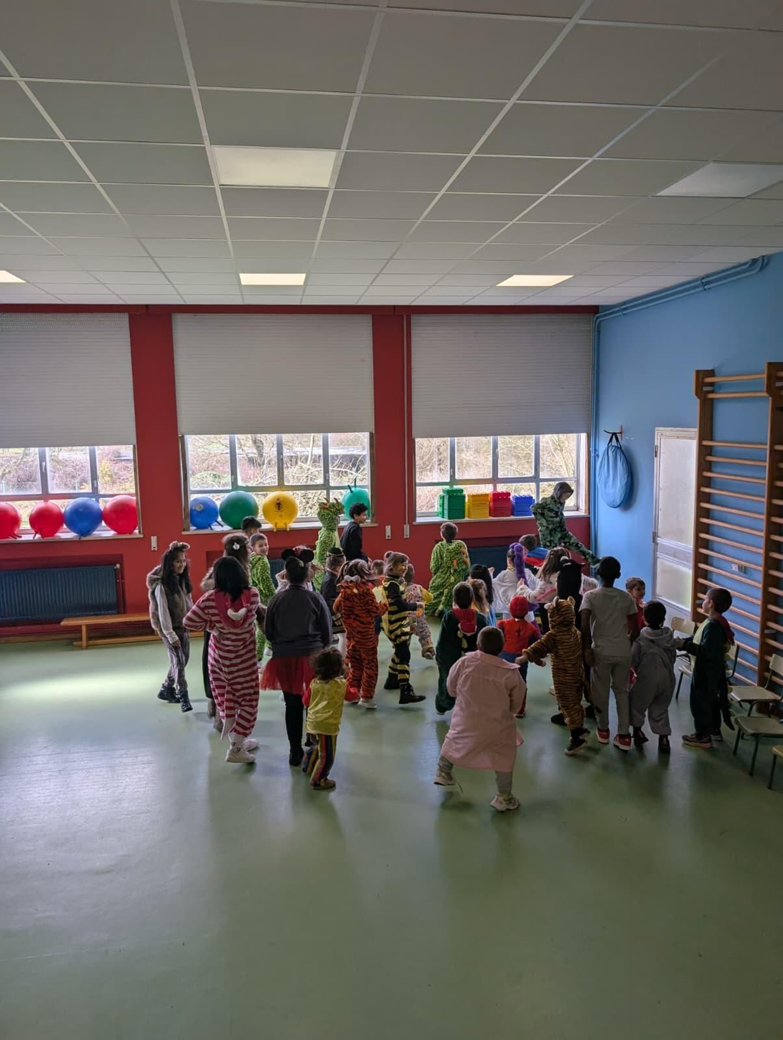 O Entroido no colexio de Sarreaus