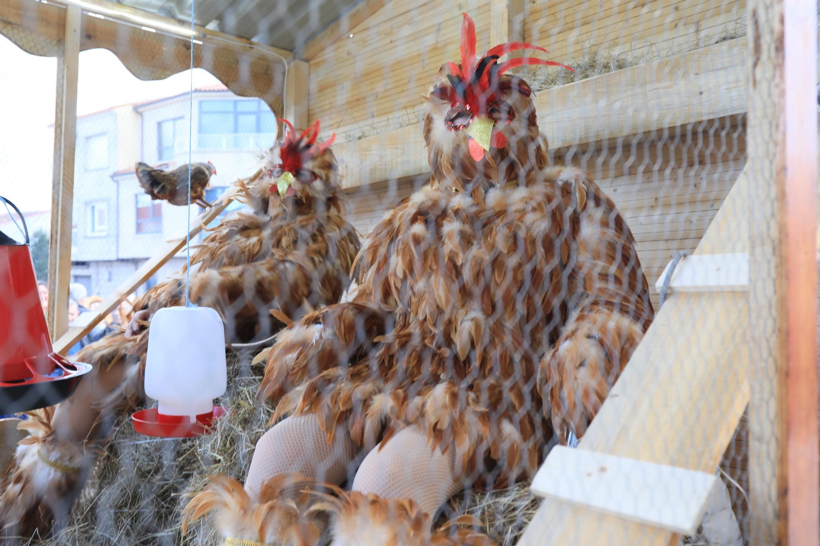 Galería | El desfile del Entroido de Maside, en imágenes