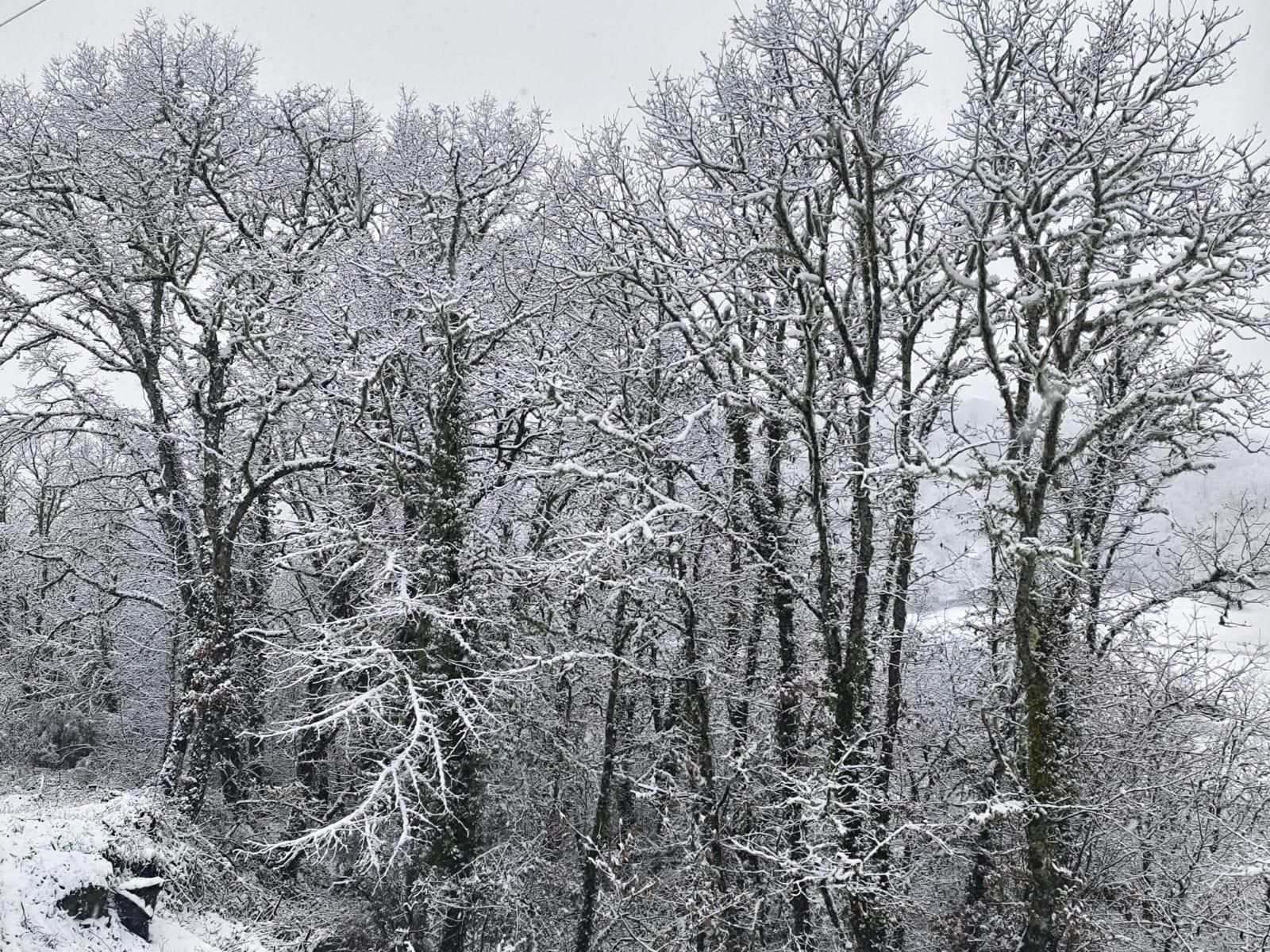 Galería | La borrasca Ingrid y la nieve pintan de blanco la provincia de Ourense, en imágenes