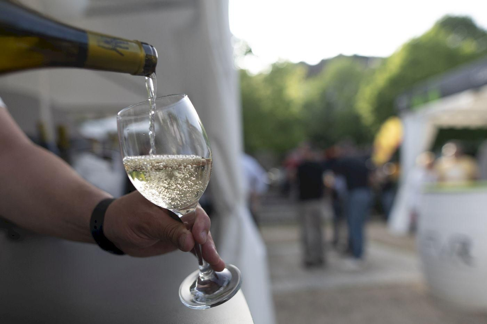 Ribadavia 29/4/22
Feria del vino en O Ribeiro

Fotos Martiño Pinal