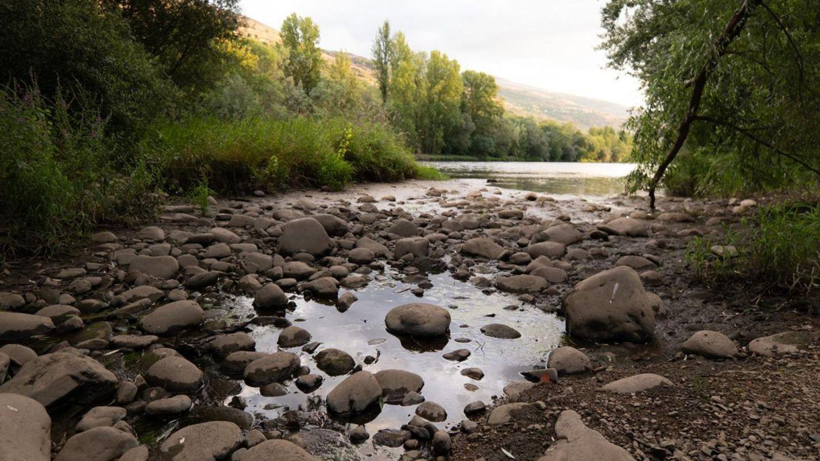 Gran sequía en el río Sil a su paso por O Barco de Valdeorras