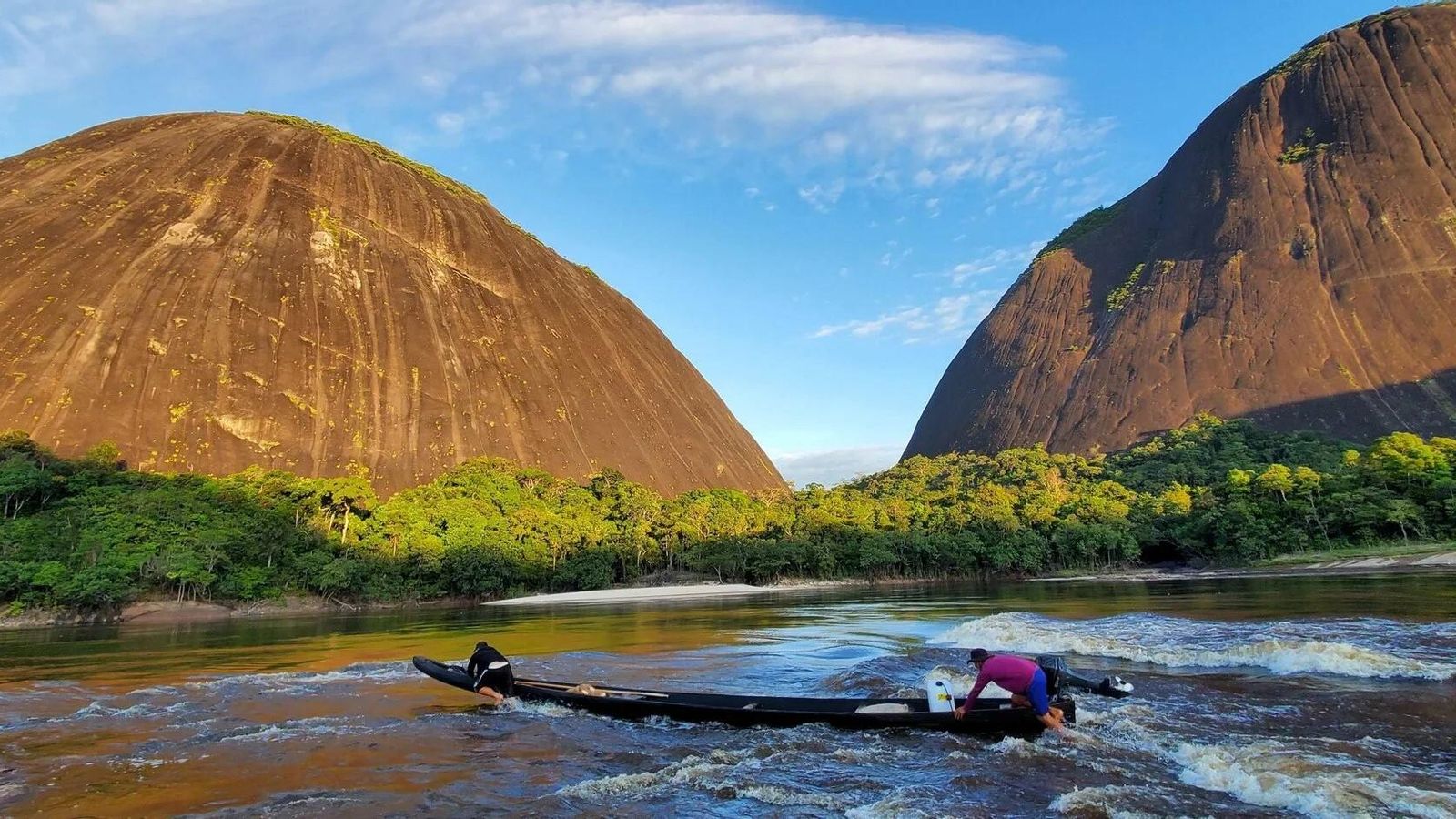Imágenes finalistas del concurso de fotografía de naturaleza de Stanford