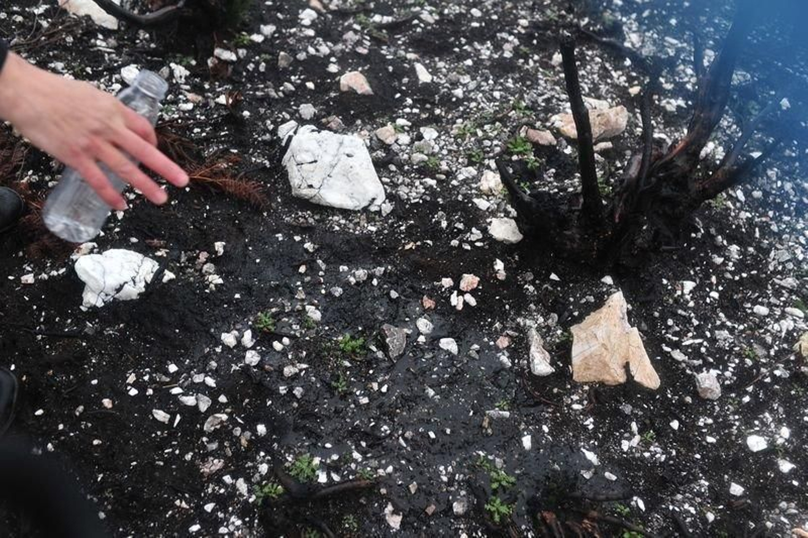 El terreno meteorizado por el fuego es impermeable // J. P.