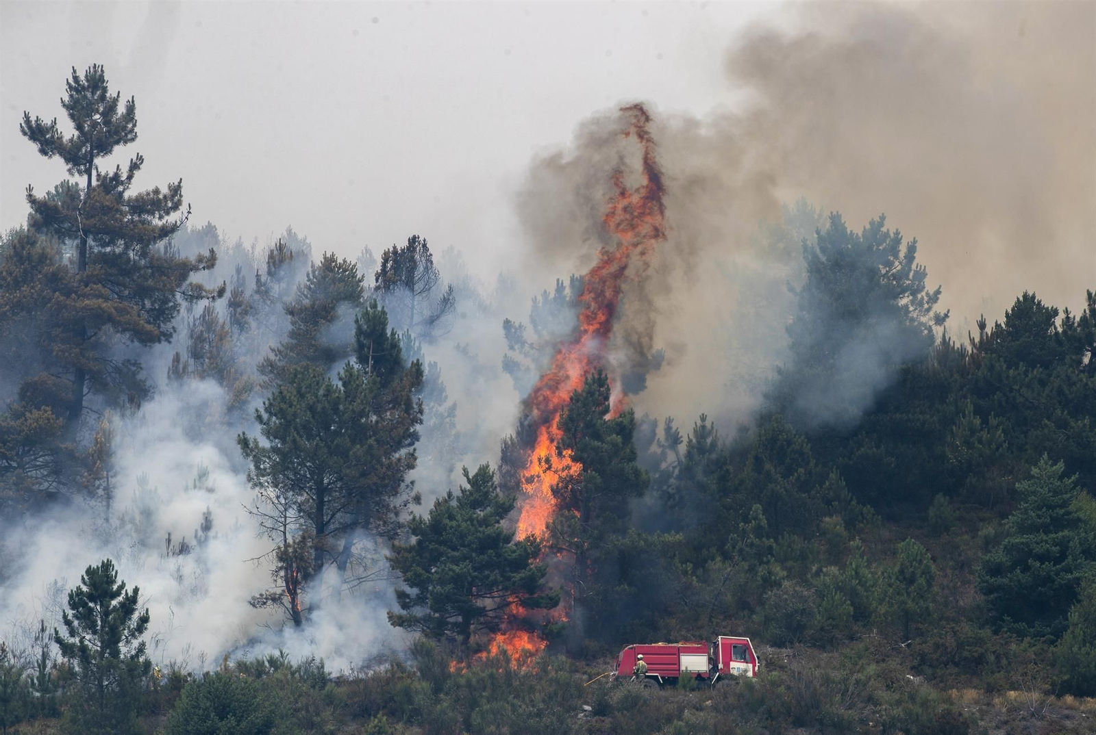 Un incendio forestal activo este sábado cerca de Carballal en la Sierra de O Courel, Lugo.
