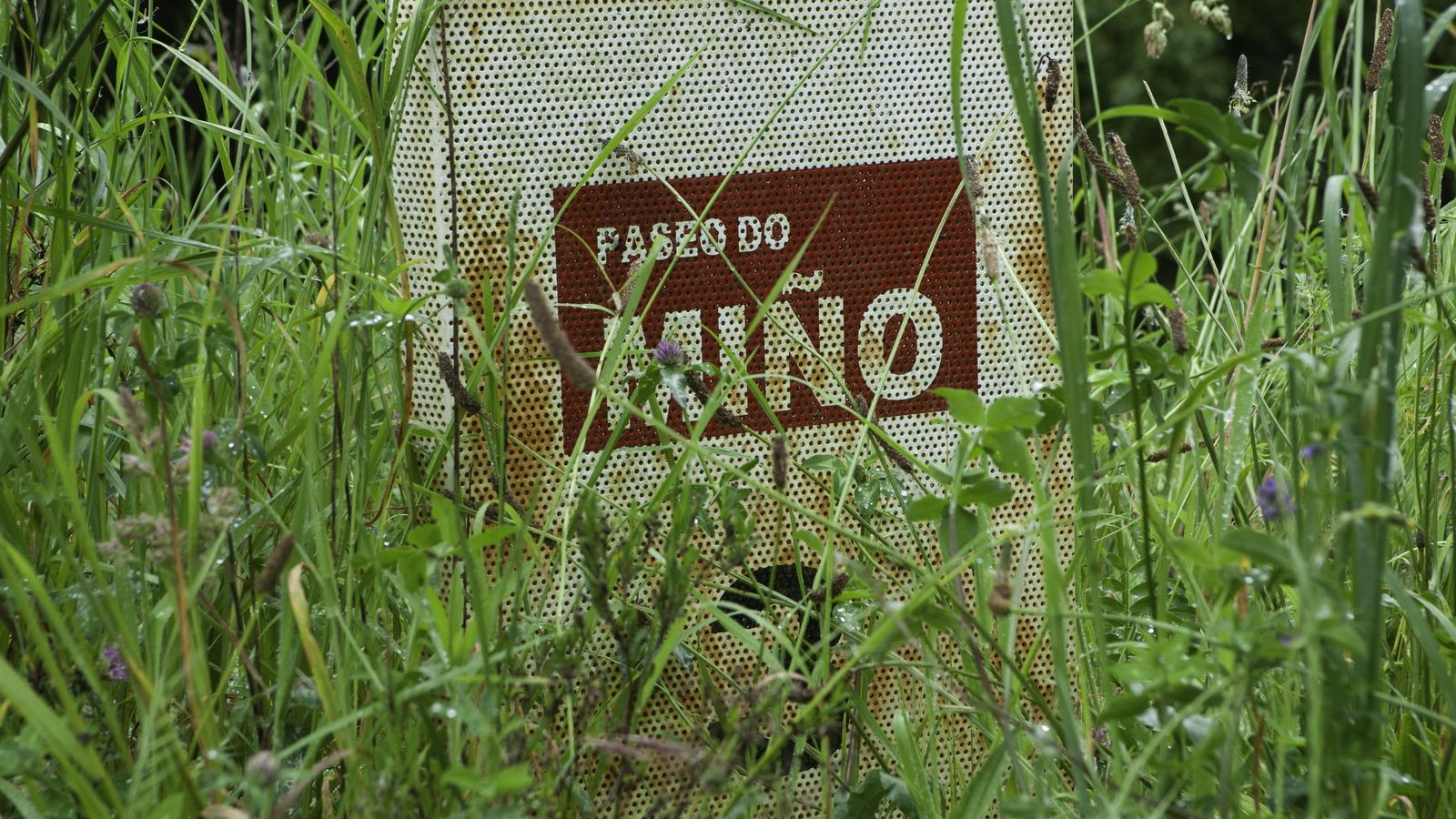 Ourense 4/5/20 Mal estadopaseo das ninfas  Fotos Martiño Pinal