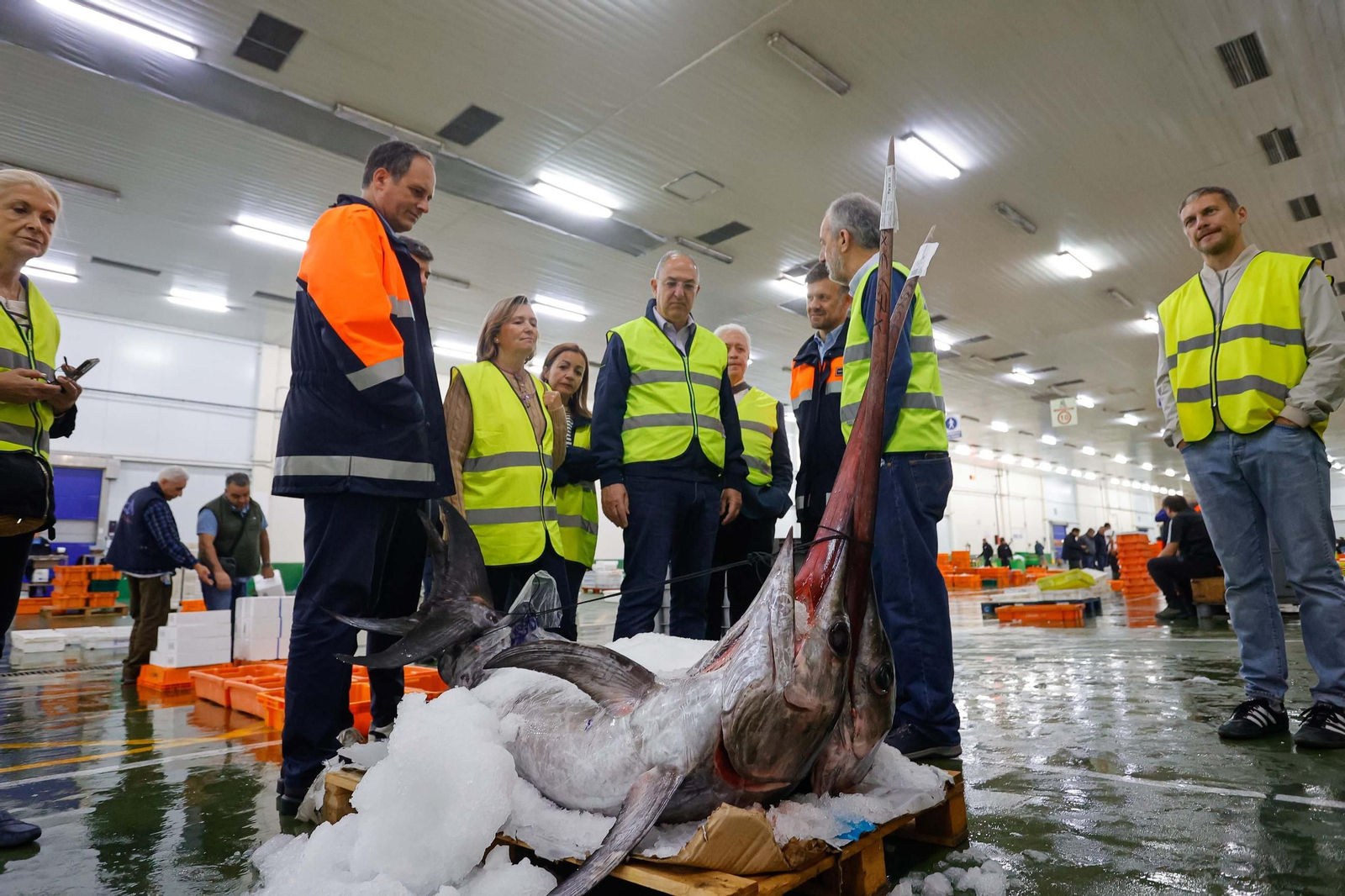 El comisario y su equipo en la visita a la lonja de Vigo