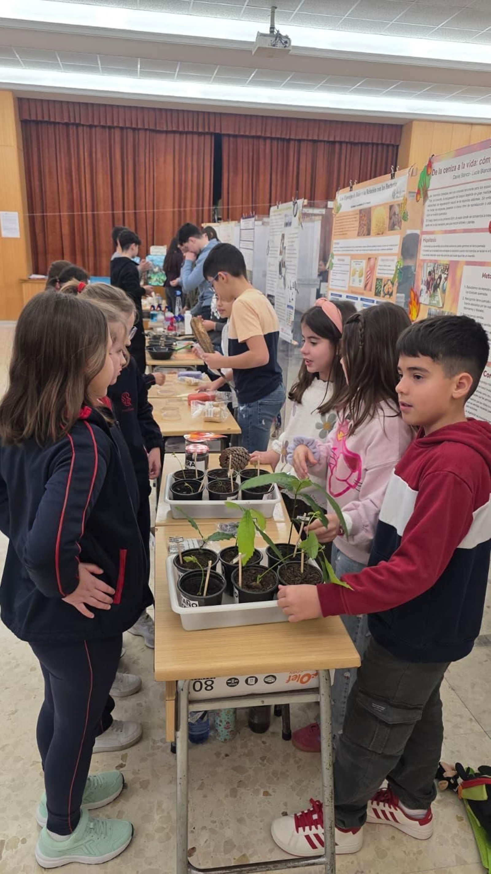 Expociencia en Josefinas