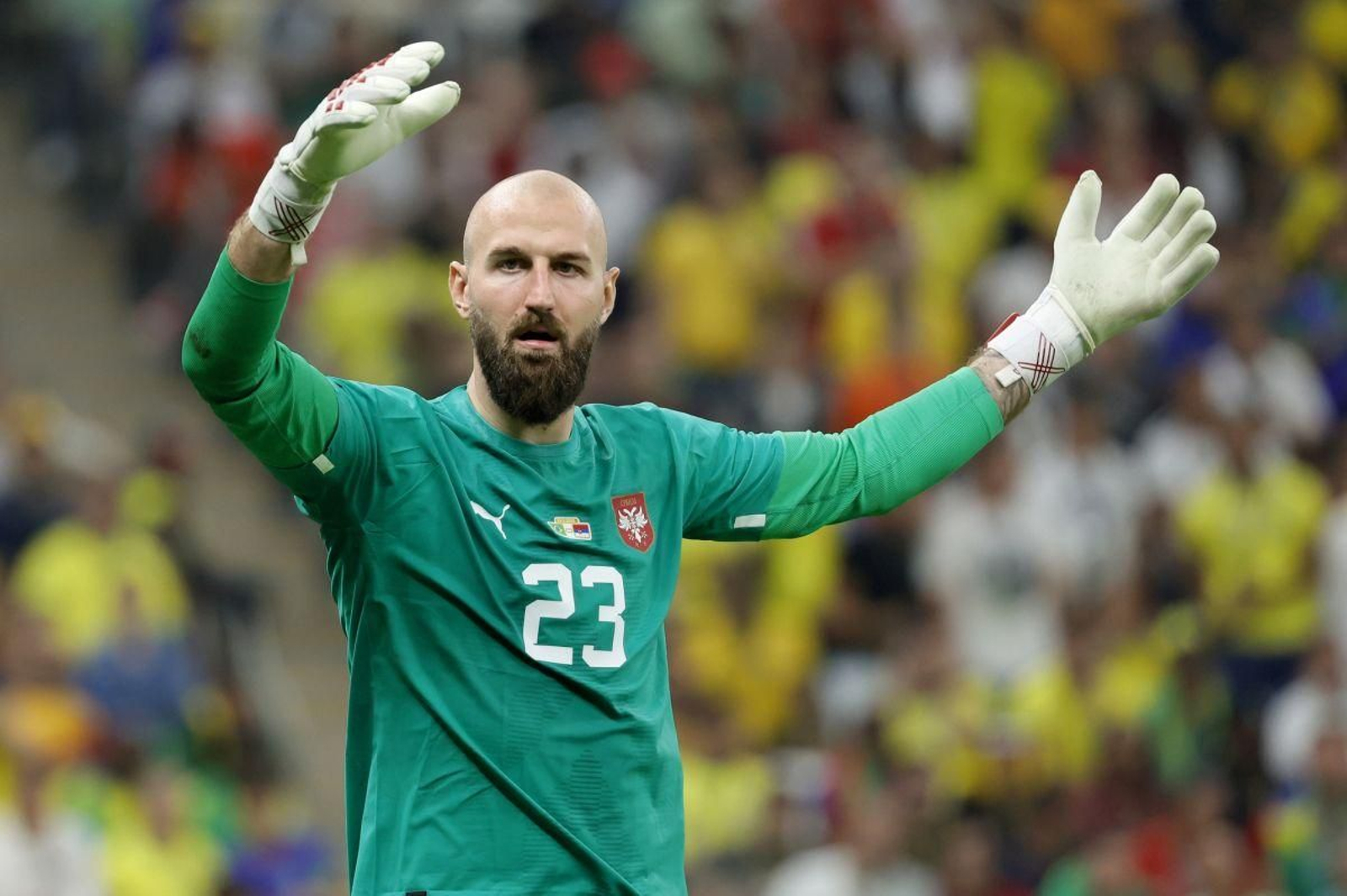 Vanja Milinkovic Savic.