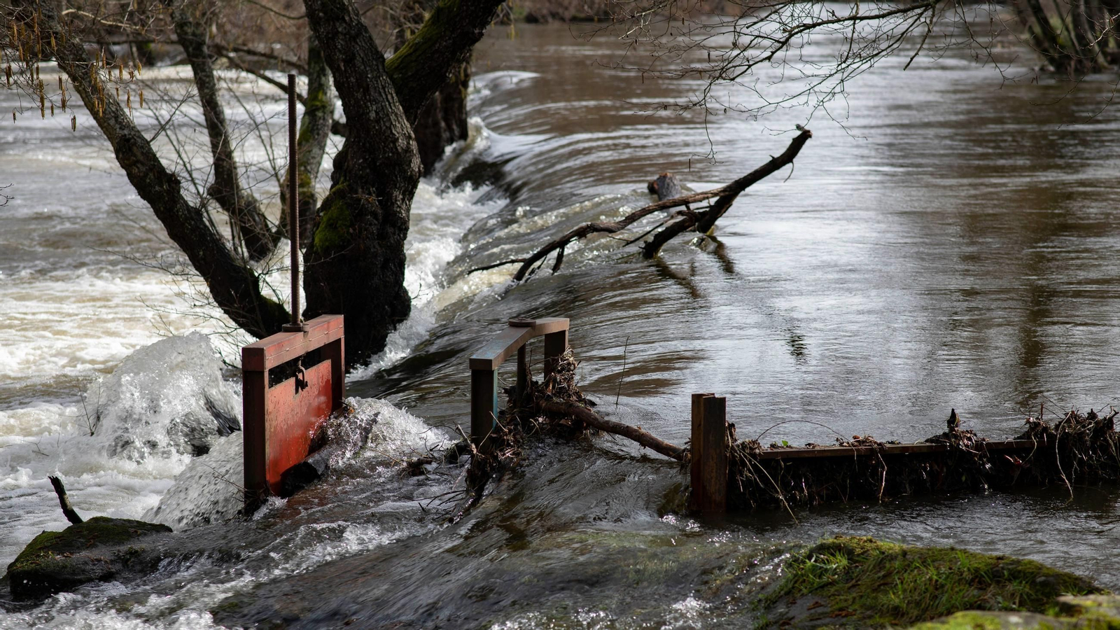 El río Arnoia a su paso por Allariz