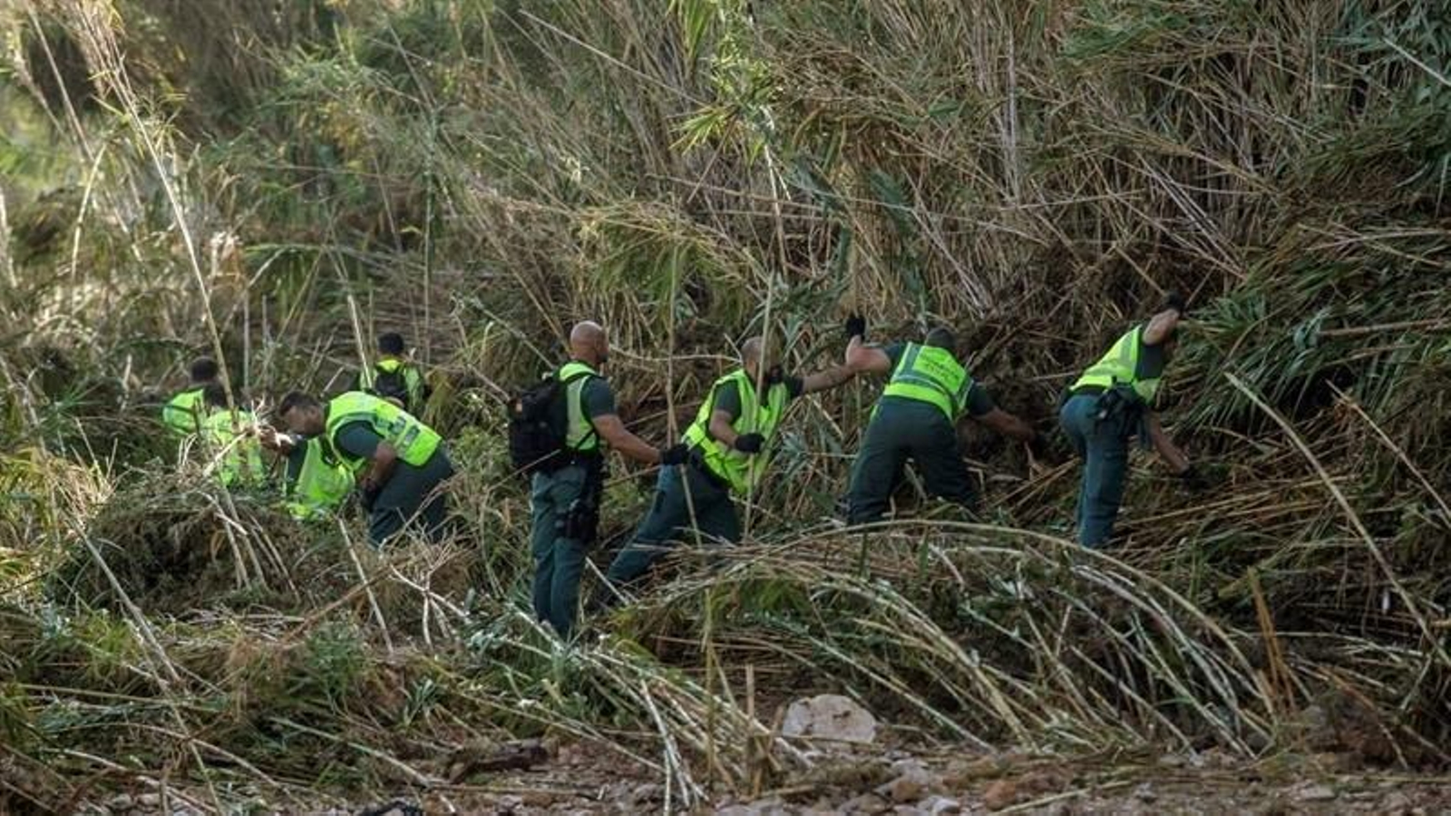 Fotografía facilitada por la Guardia Civil, de expertos de rastreo y rescate, hoy en labores de búsqueda, por séptimo día consecutivo.