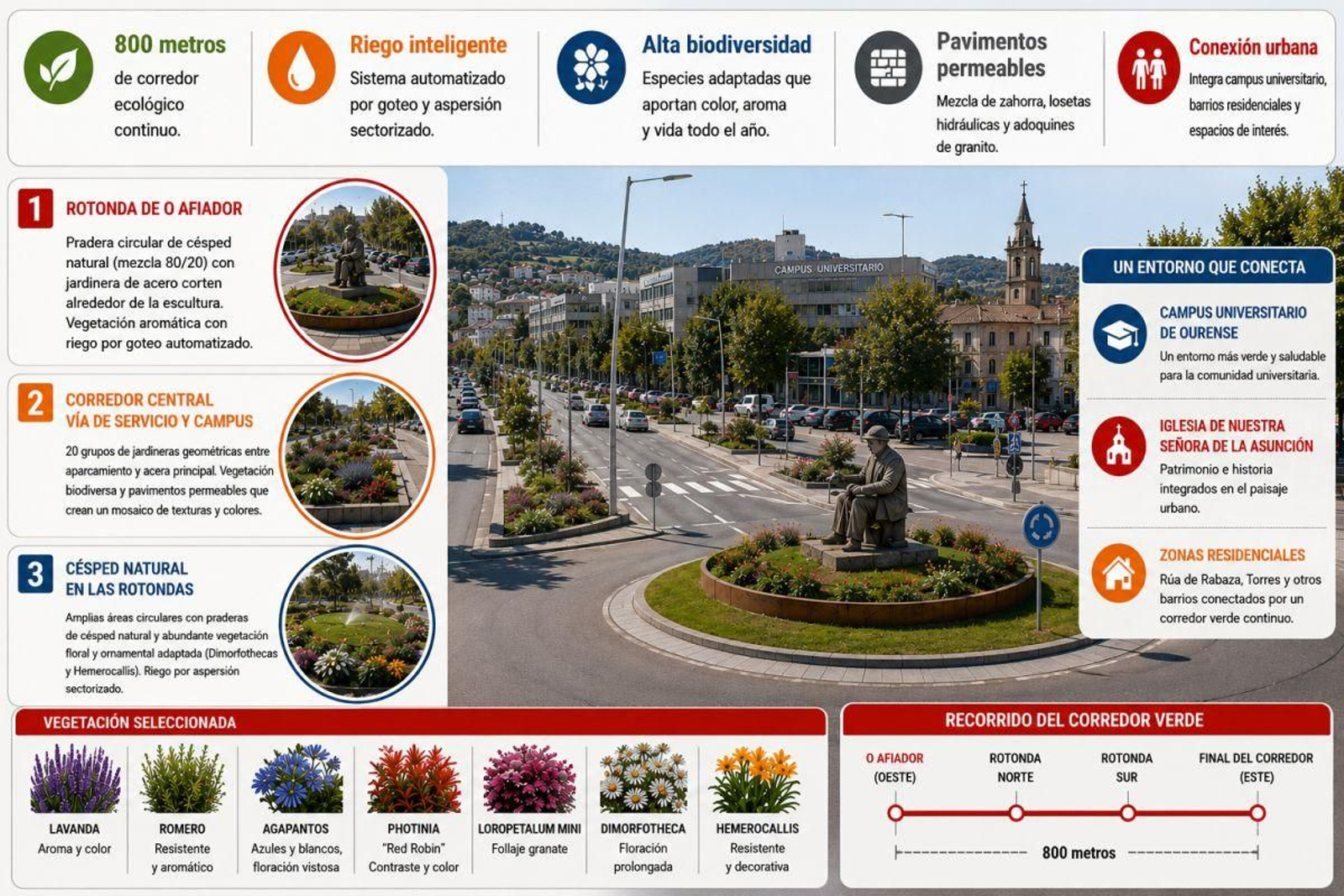La avenida Otero Pedrayo como refugio climático.