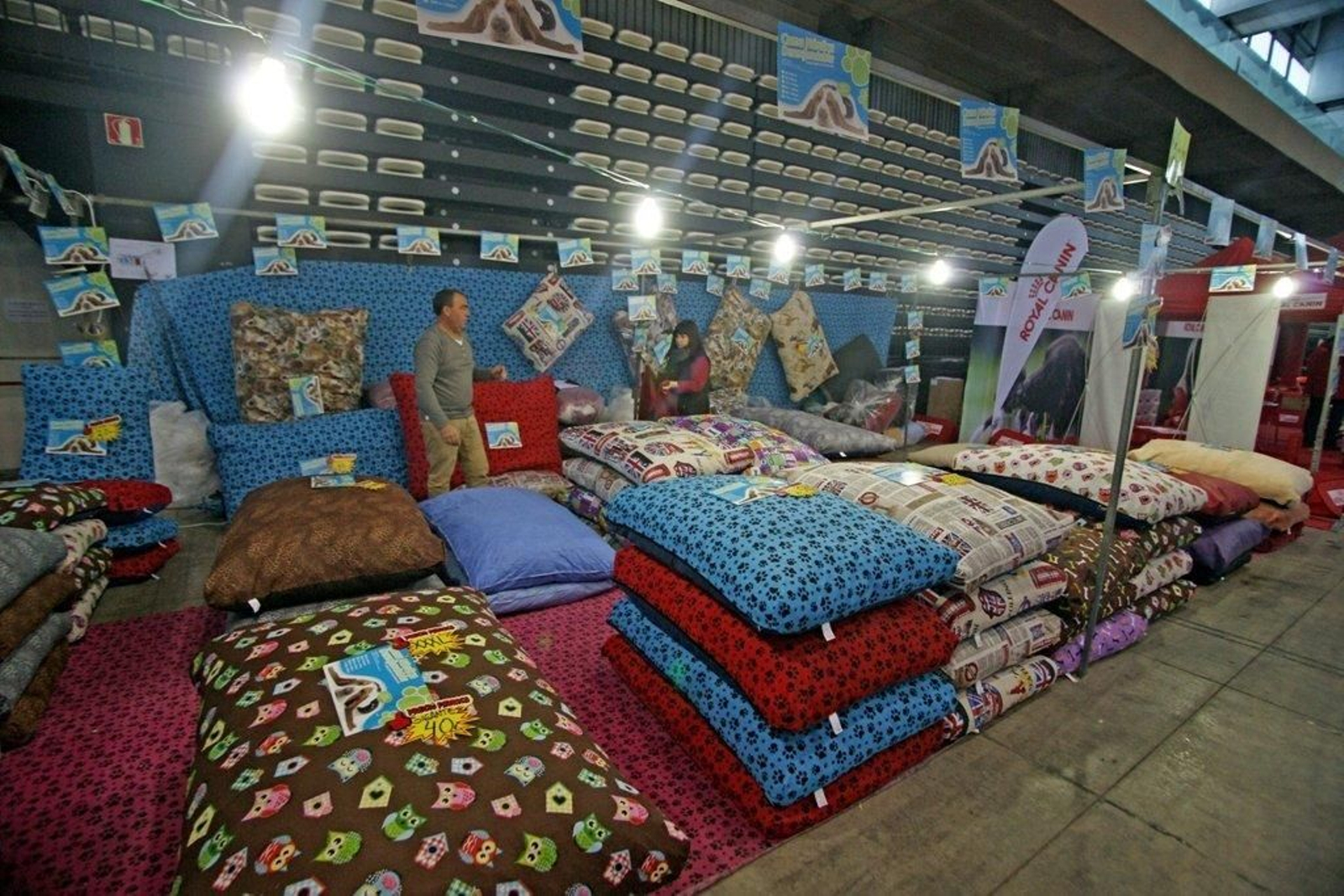 Exposición Canina en el Ifevi Foto Vicente08