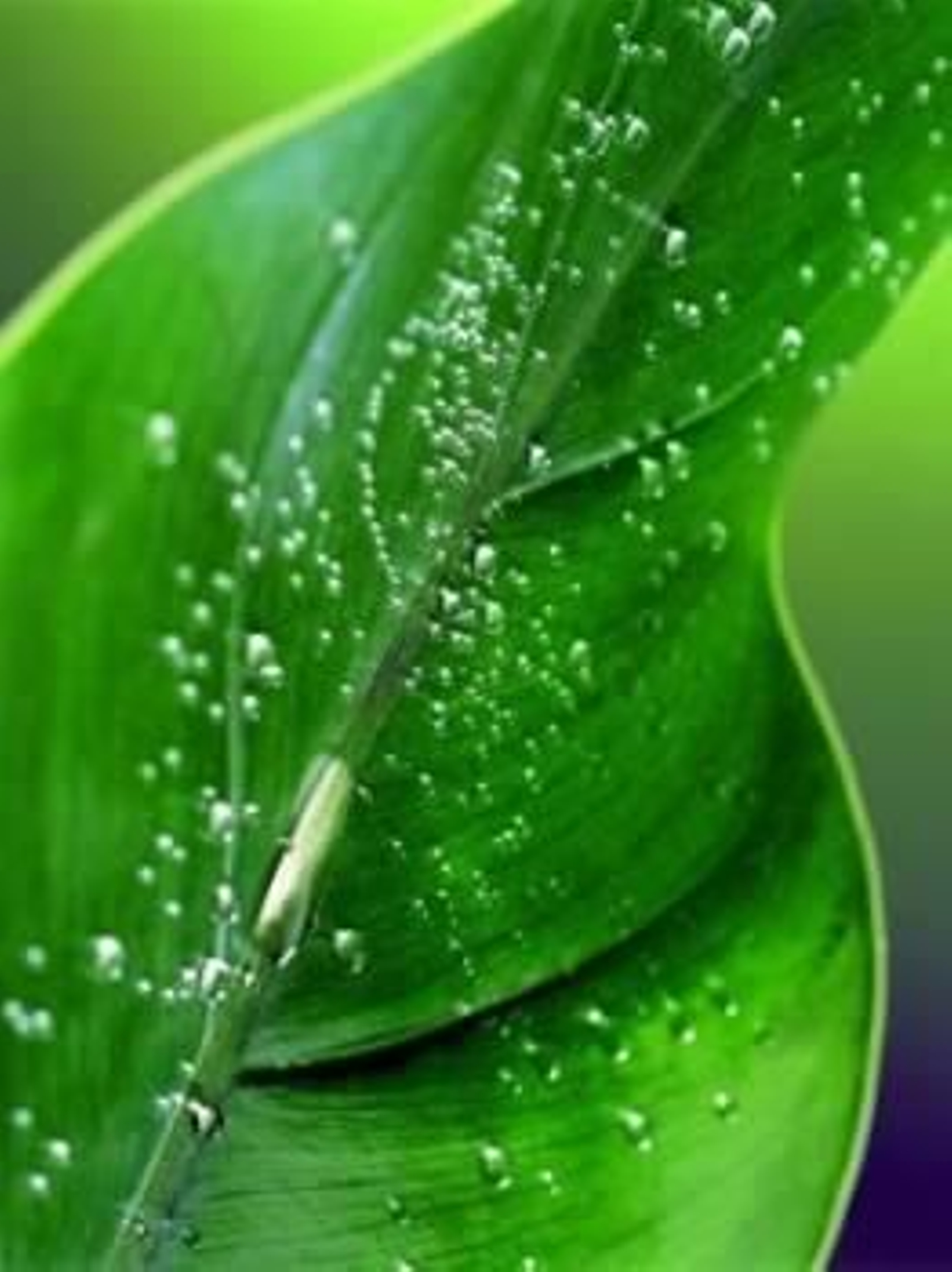 Foto: fondosgratis.com