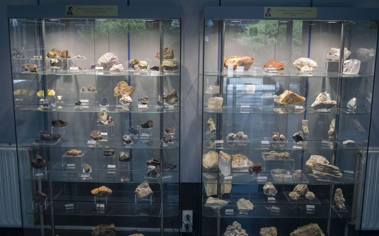 La colección se expone en  siete vitrinas colocadas en un pasillo de la Facultad de Ciencias.