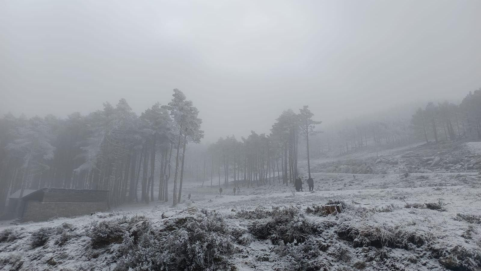 Imagen de una nevada en la provincia de Ourense