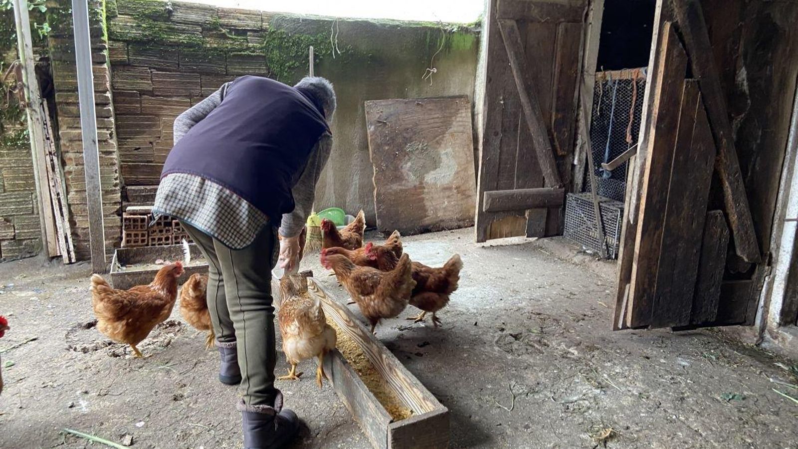 María, dando de comer a las gallinas que cría en su casa para autoconsumo.