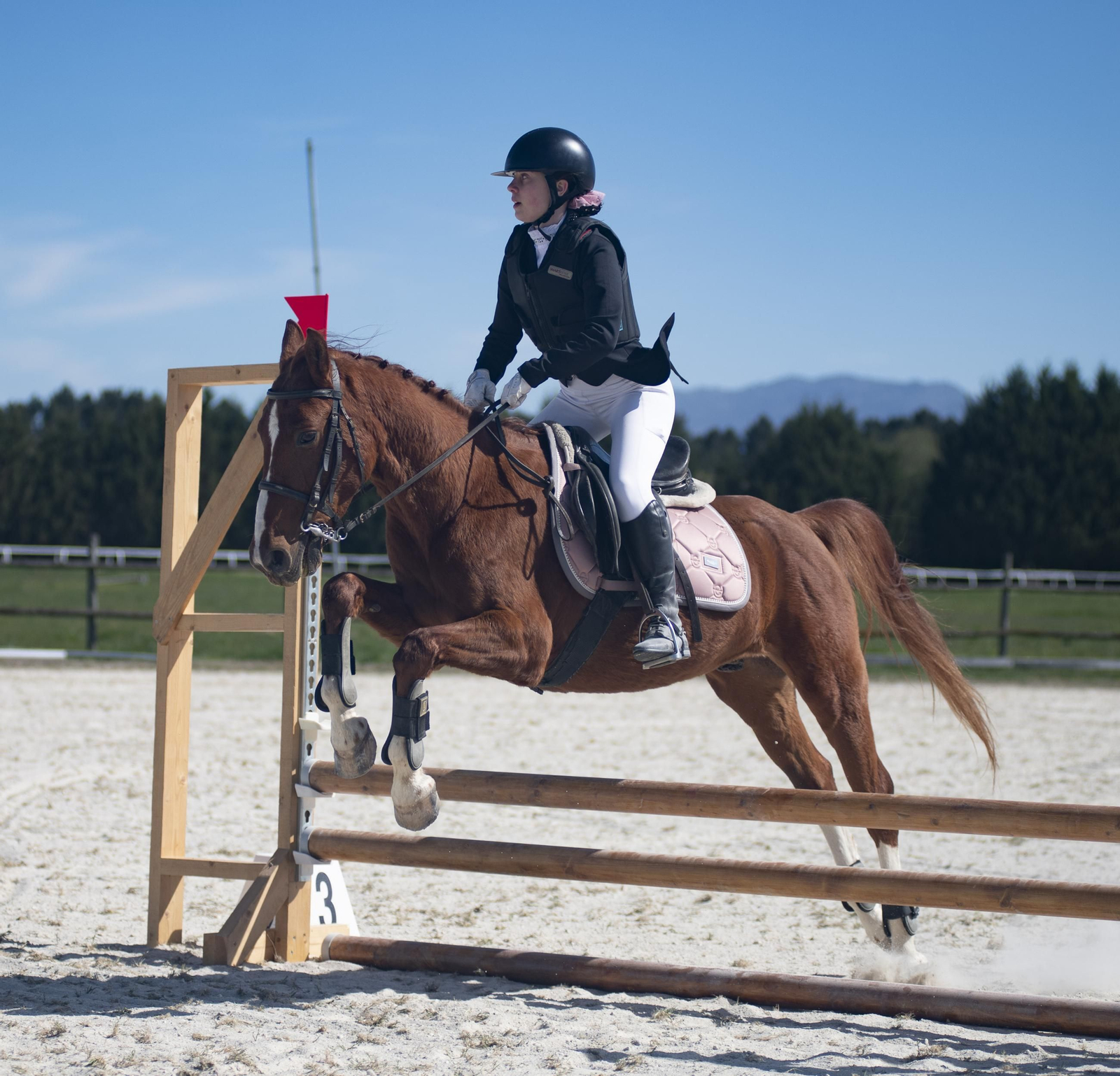 Galería | Sandiás disfruta con el Campeonato Provincial de Concurso completo de hípica