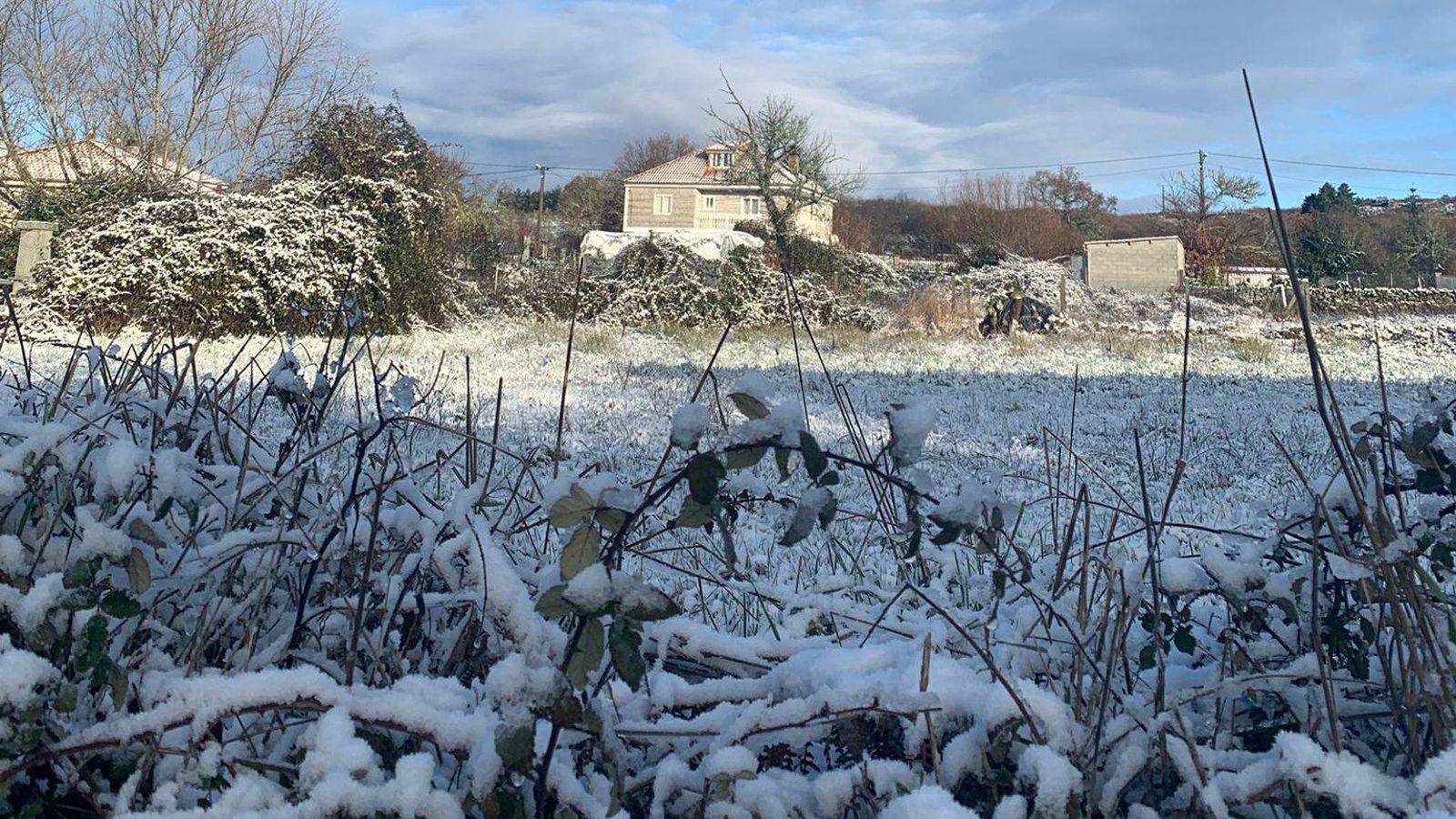 Nevadas estamañana de miércoles en Feás (Calvos de Randín)