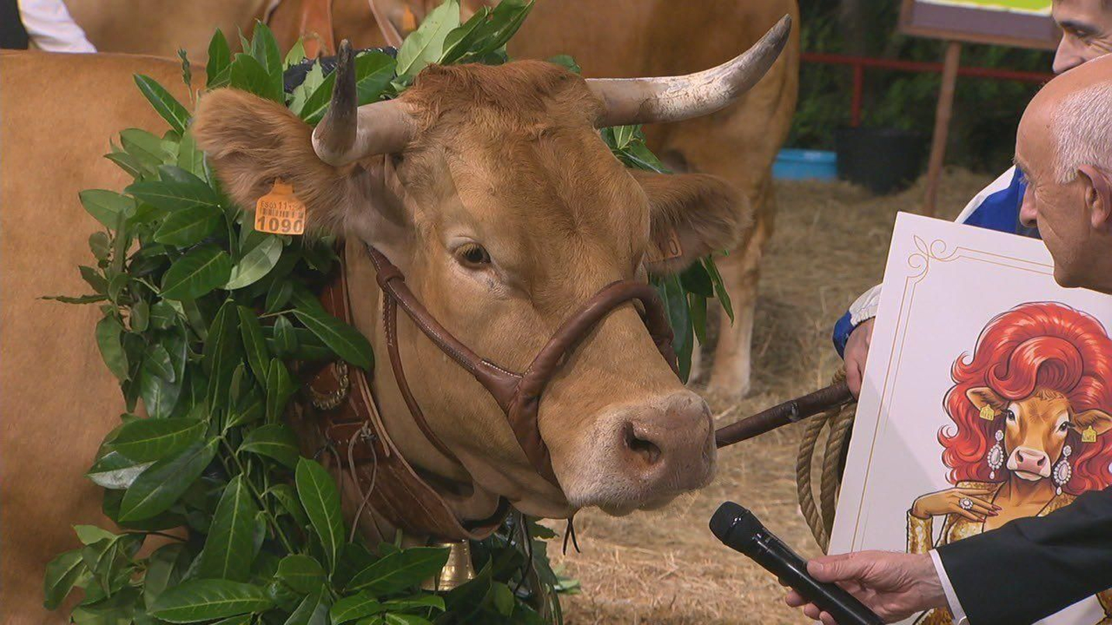 Paloma, ganadora de Miss Vaca 2026.