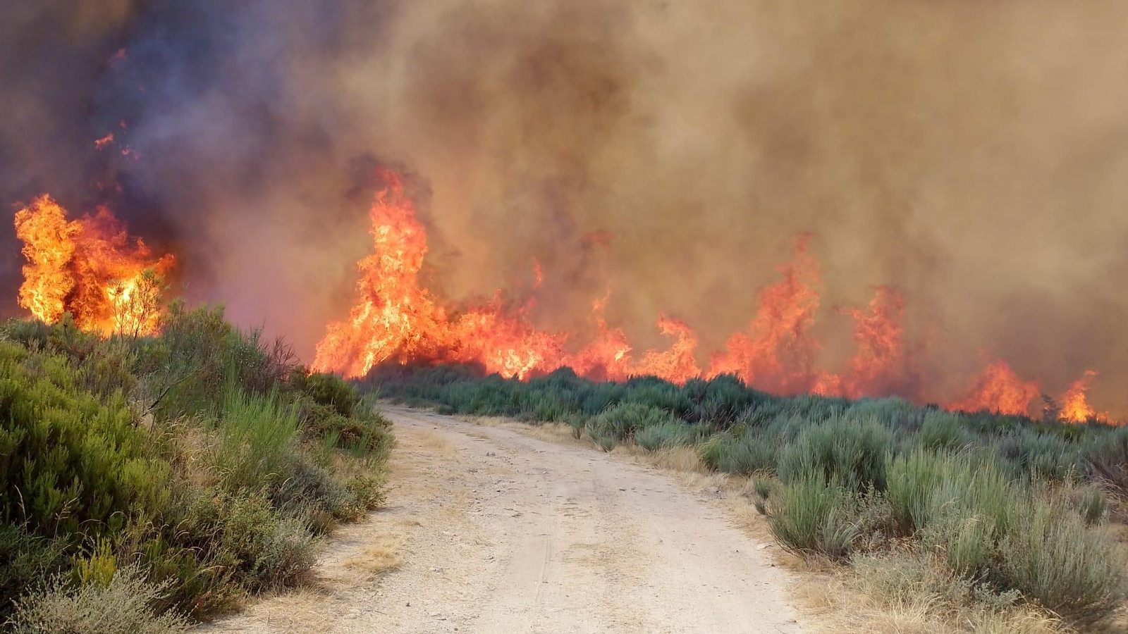 Zamora y Ourense afectados por el incendio