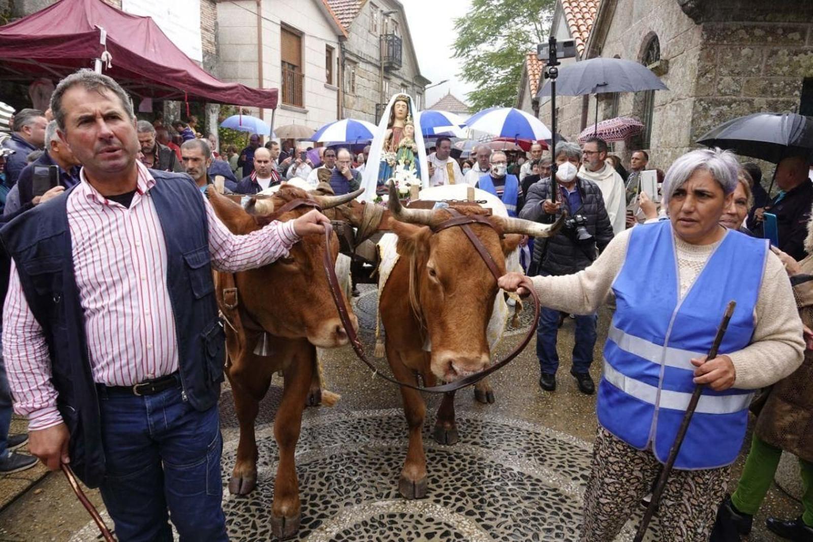 Los carros de bueyes tiran por la imagen de la Virgen de A Franqueira durante la procesión habitual celebrada ayer e A Cañiza.