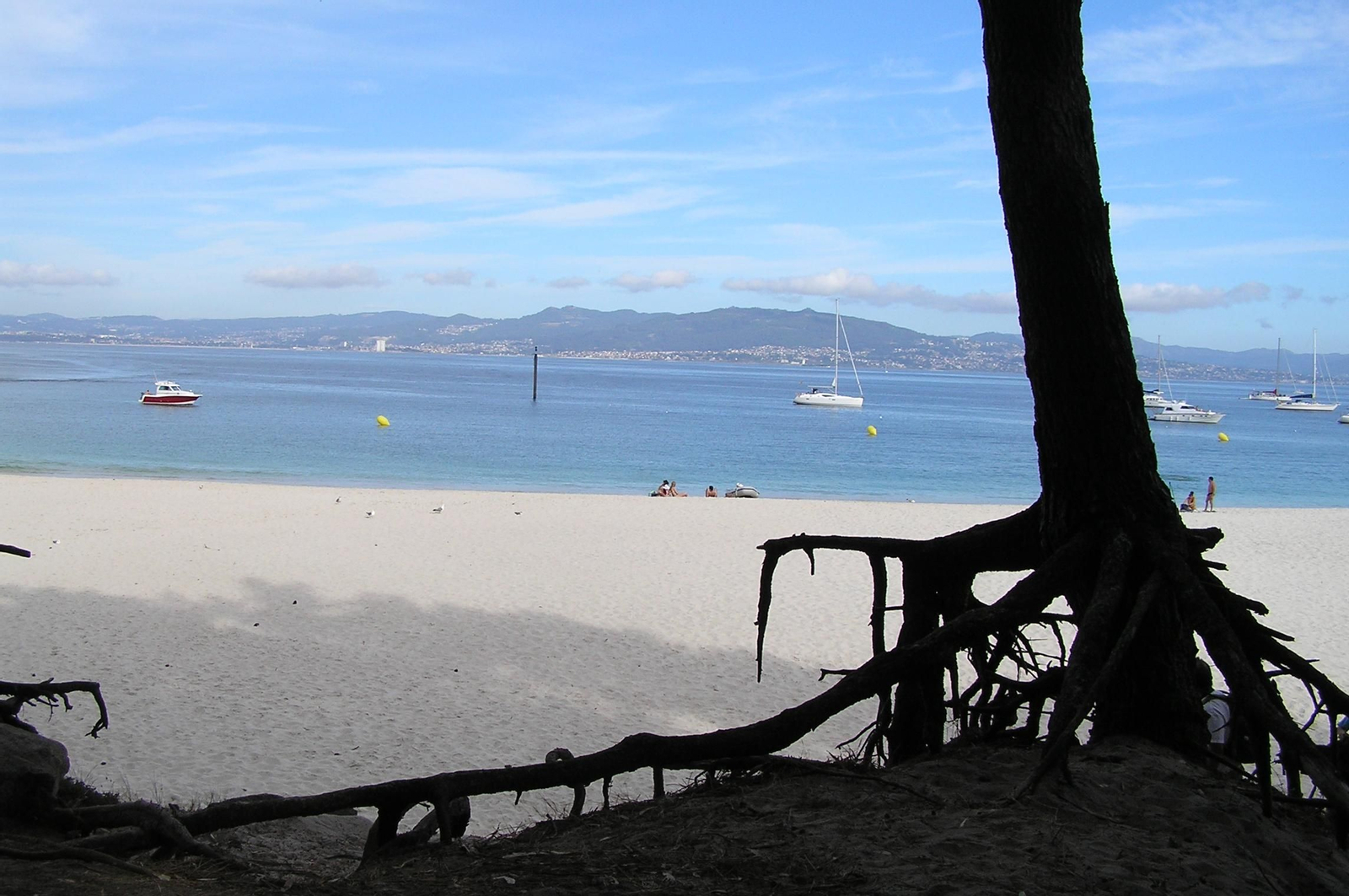 Jaime Vázquez Pérez