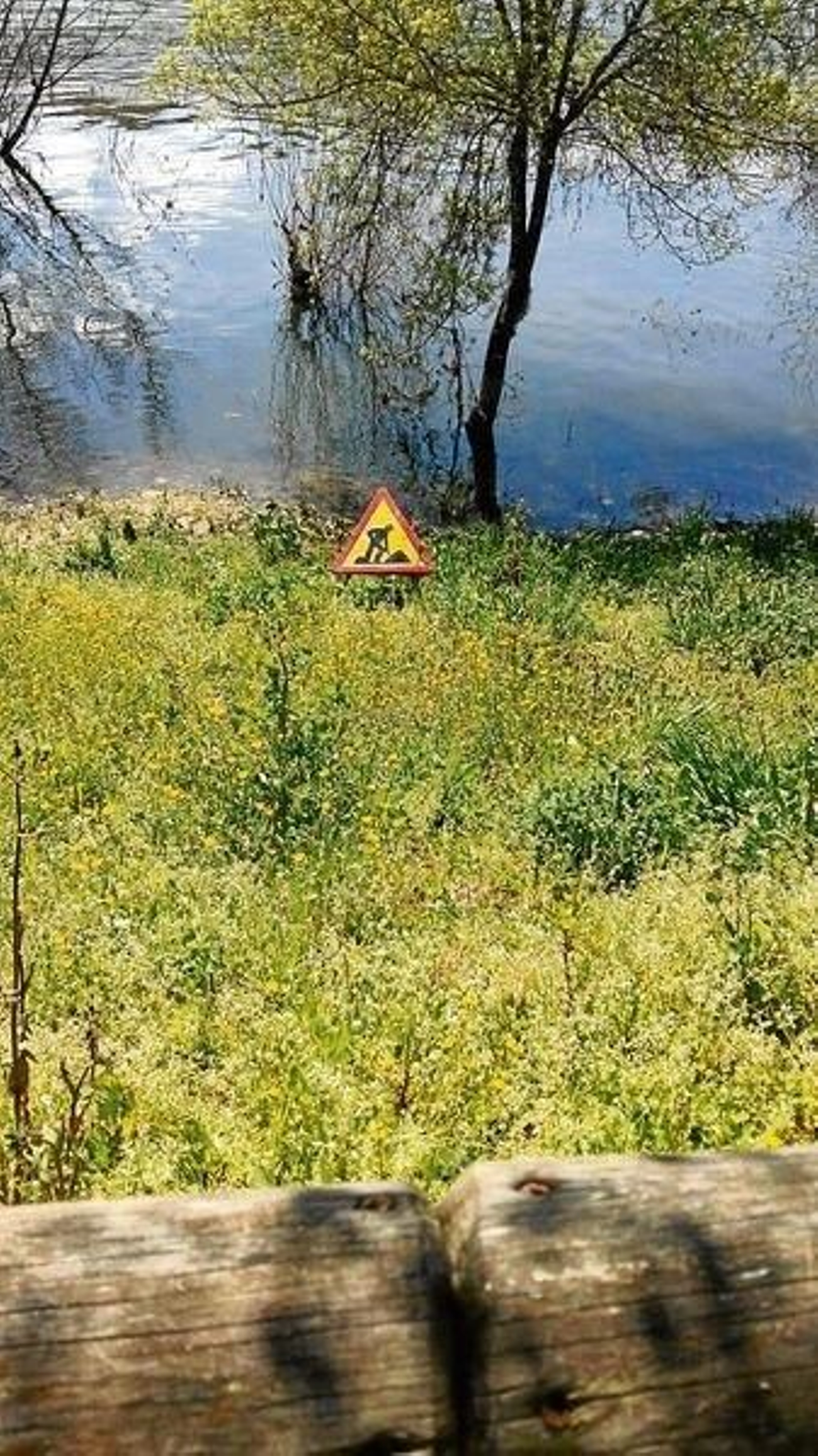 20180417200524221_result