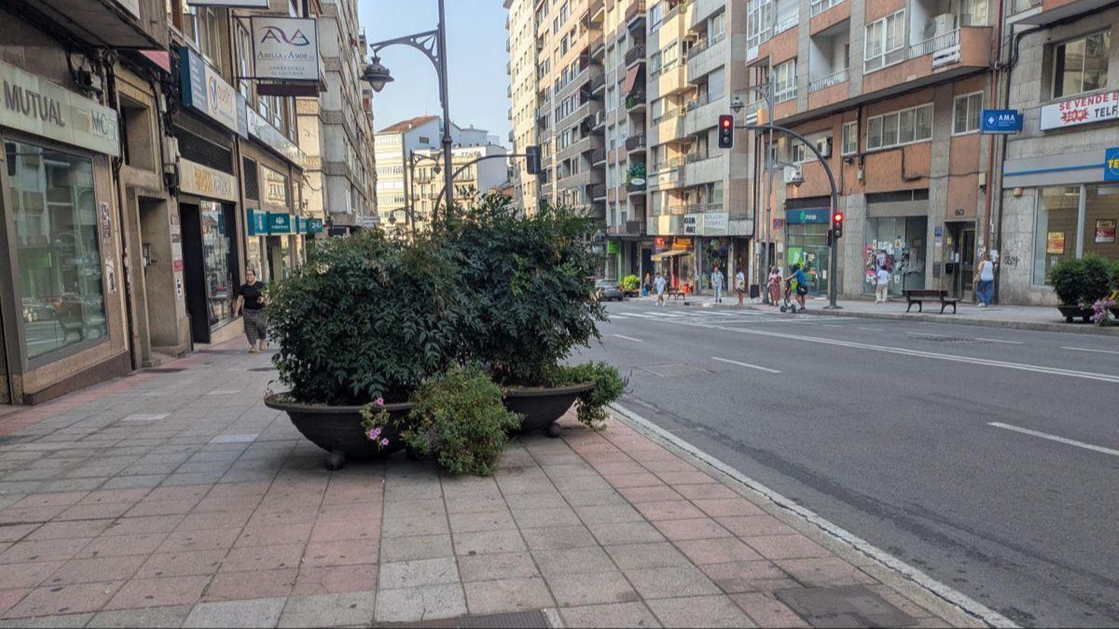 Macetas que impiden la visibilidad