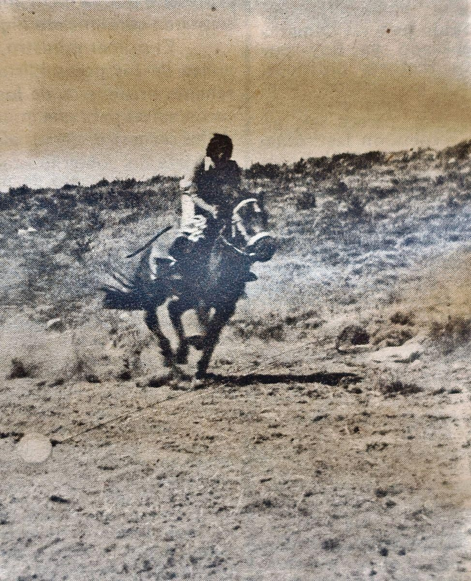 Cursillo de equitación en Manzaneda.
