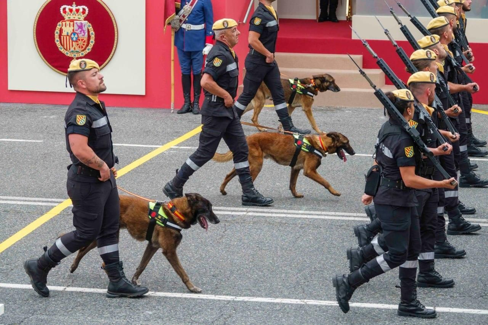 Galería | Las mejores imágenes del histórico Día de las Fuerzas Armadas en Vigo