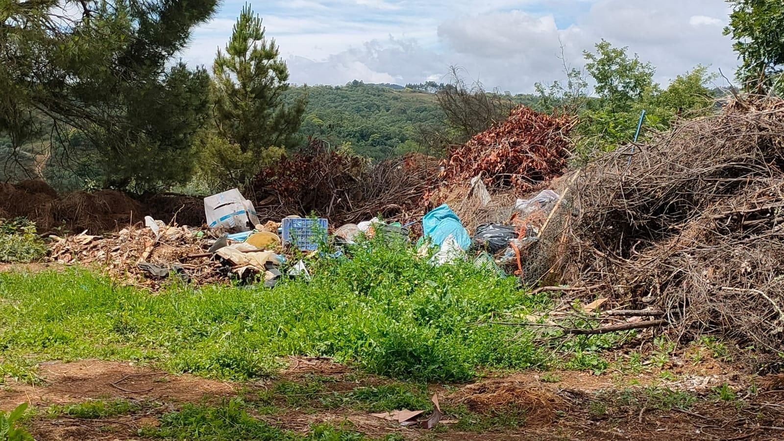 Así se encontraba la zona. (Foto: cedida).