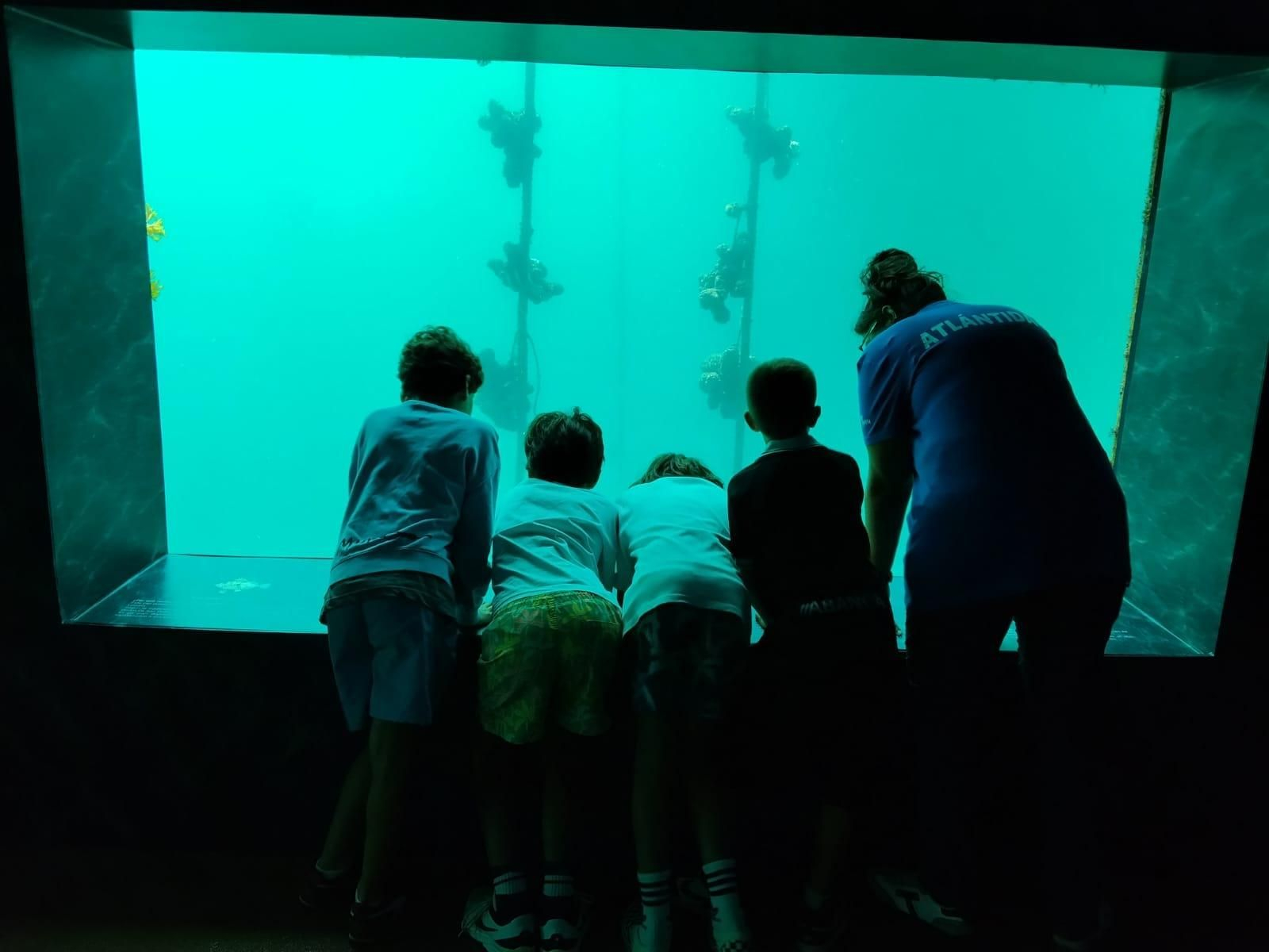 El interior del visor submarino "Atlántida", en Bouzas, como un auténtico acuario natural.