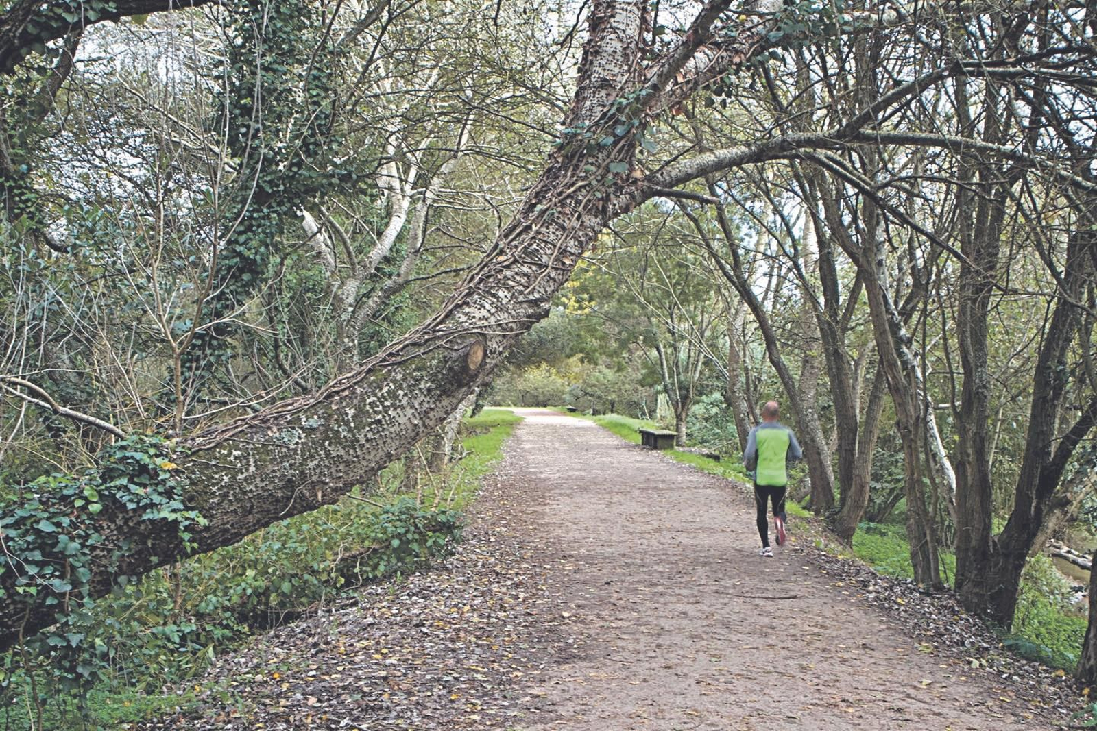 El Concello podrá mejorar el paseo del Lagares.