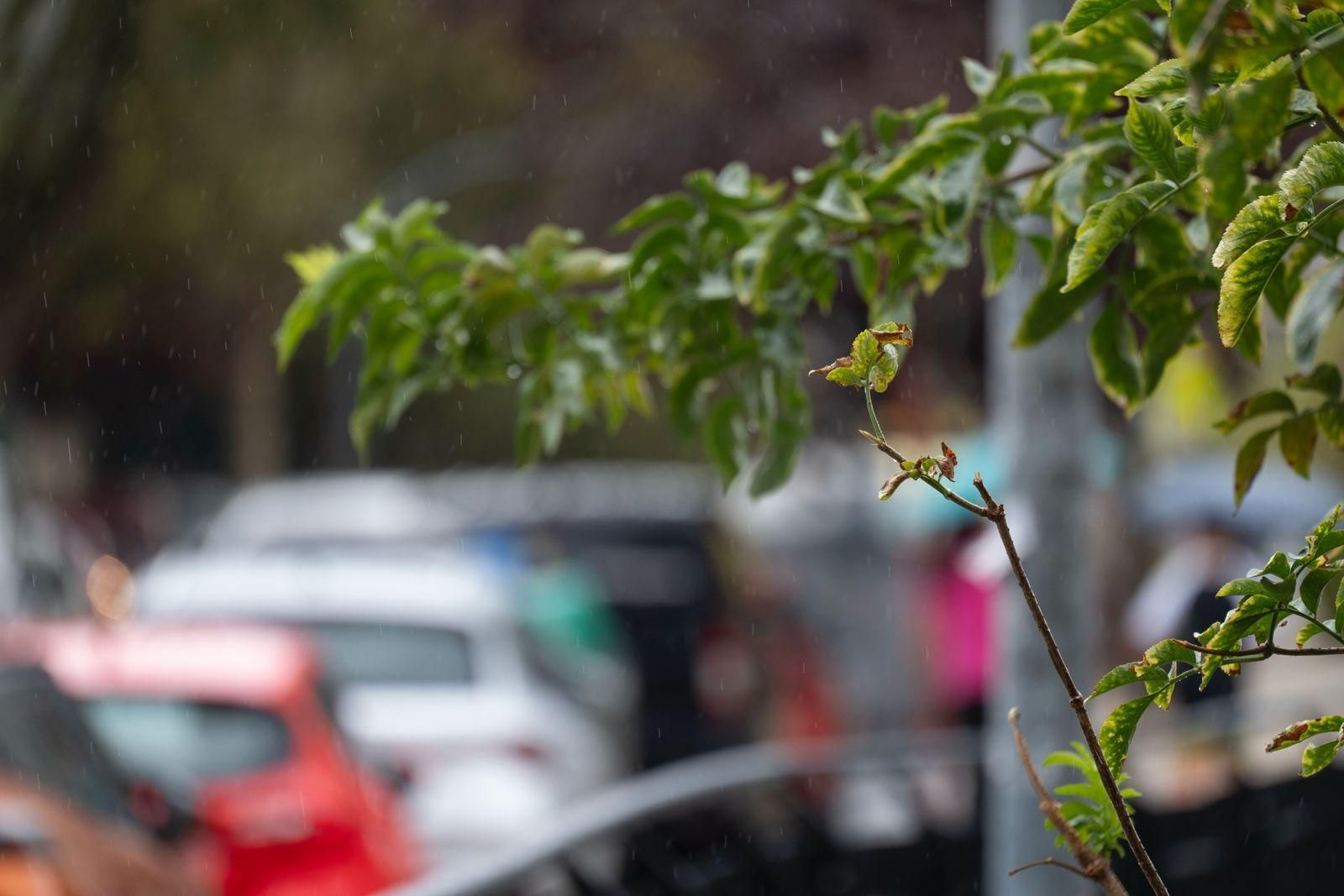 Galería | Las lluvias dan un respiro en los termómetros de Ourense