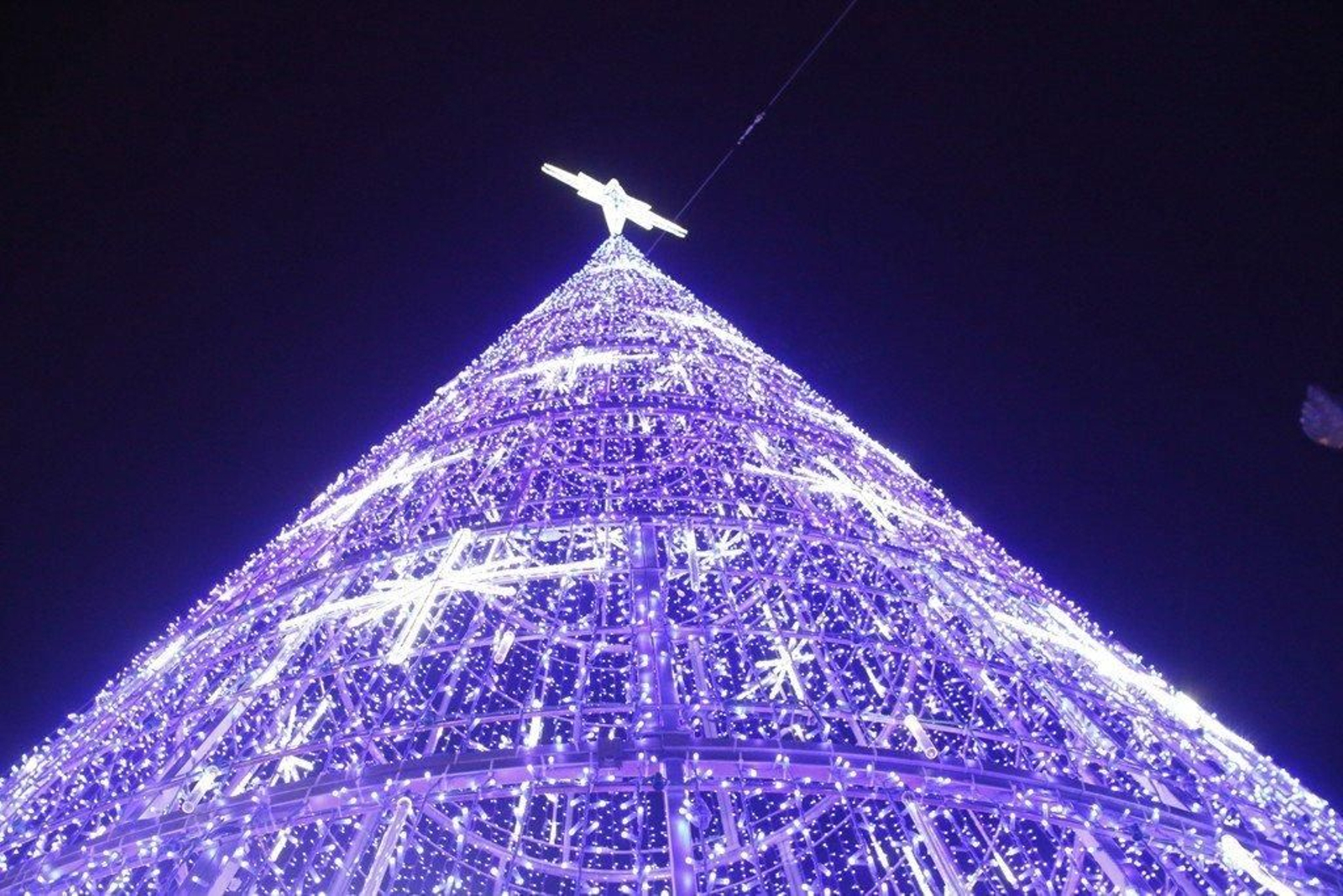 Encendido de las luces de Navidad Foto JV Landín 102