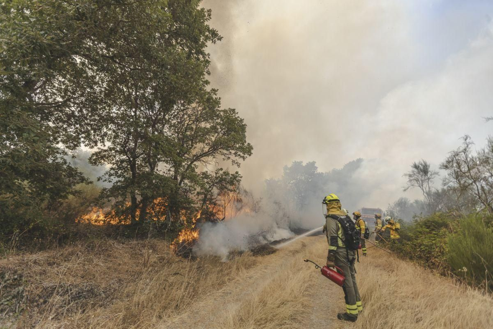 Los medios de extinción, en primera línea, luchan contra el fuego en Baltar.