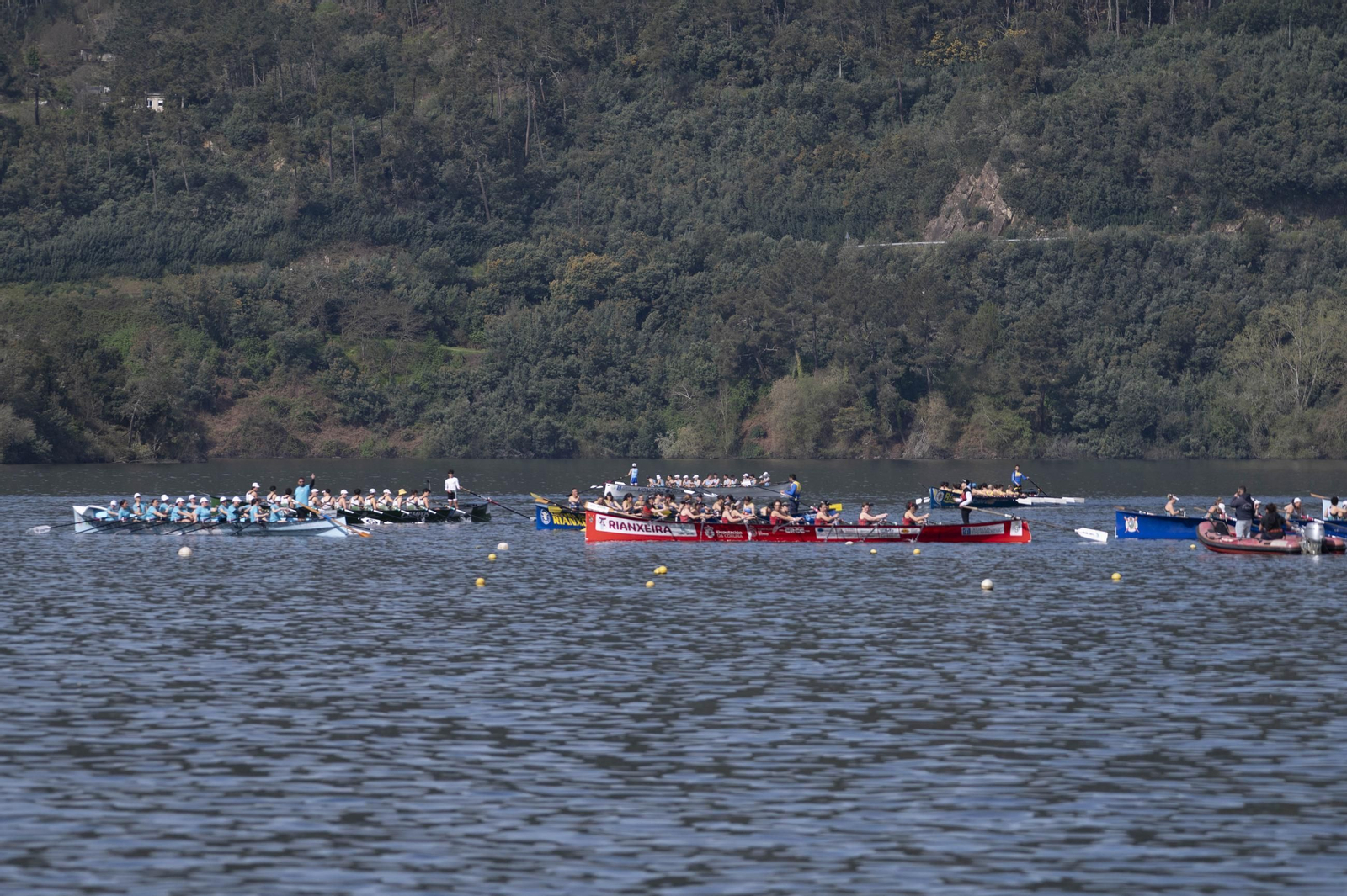 Galería | Las traineras conquistan y brillan en Castrelo de Miño