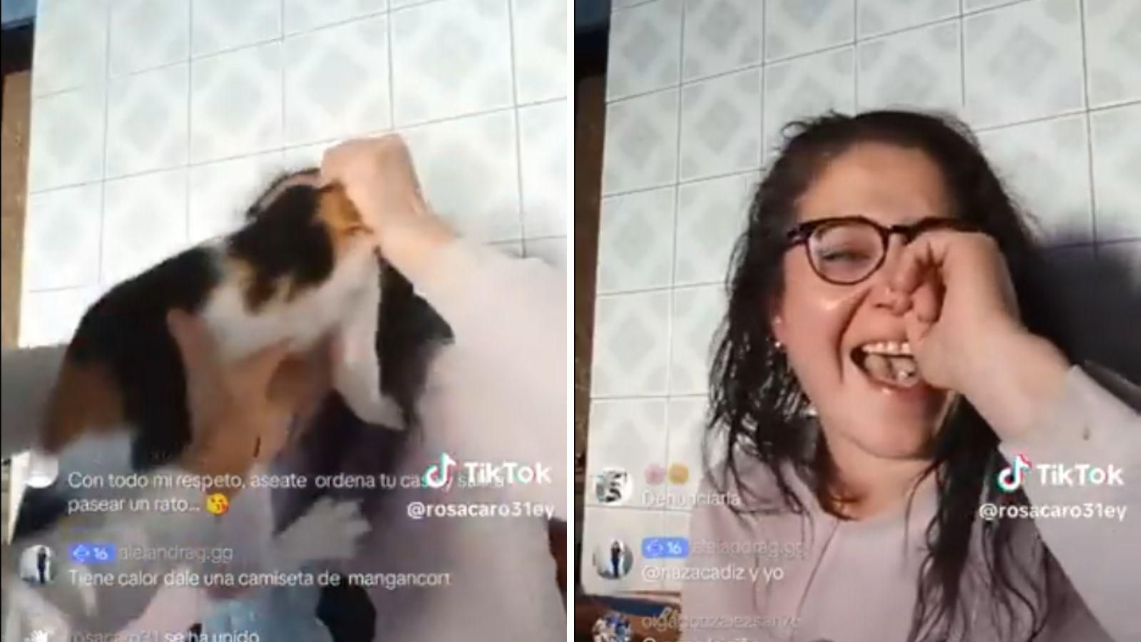 Extractos de los vídeos que difundía la denunciada en redes sociales, en su residencia ubicada en la provincia de Ourense.