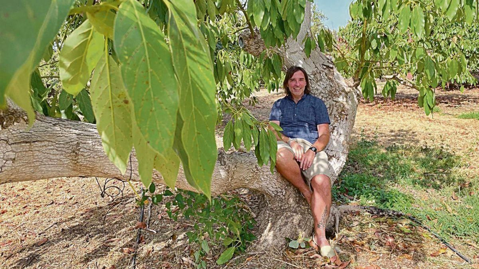 Juan Manuel Losada entre árboles de aguacate en el IHSM La Mayora.