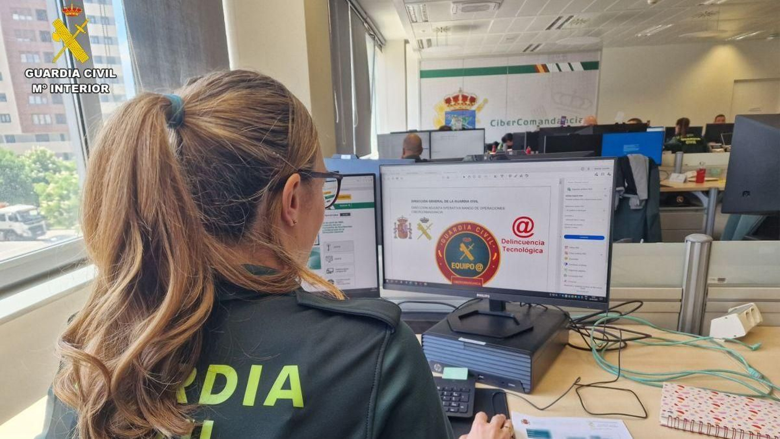 Los investigadores rastrearon el flujo financiero de la empresa de transportes.