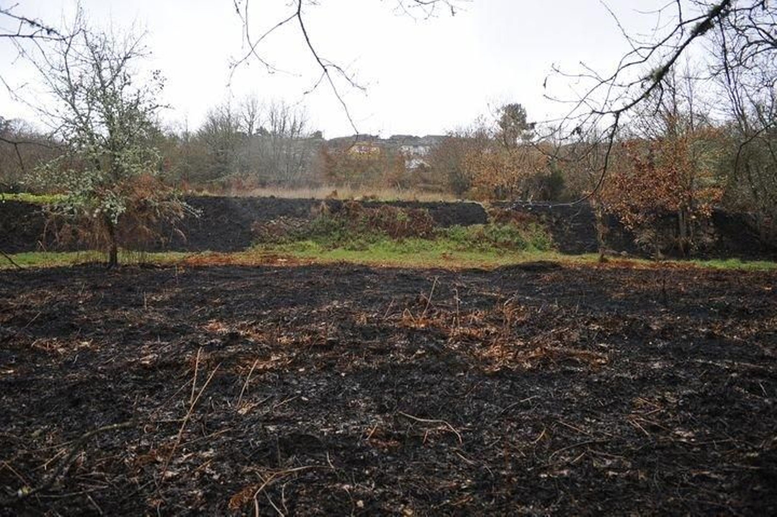 Zona en la que tuvo lugar el suceso, en Bande. (M. PINAL).