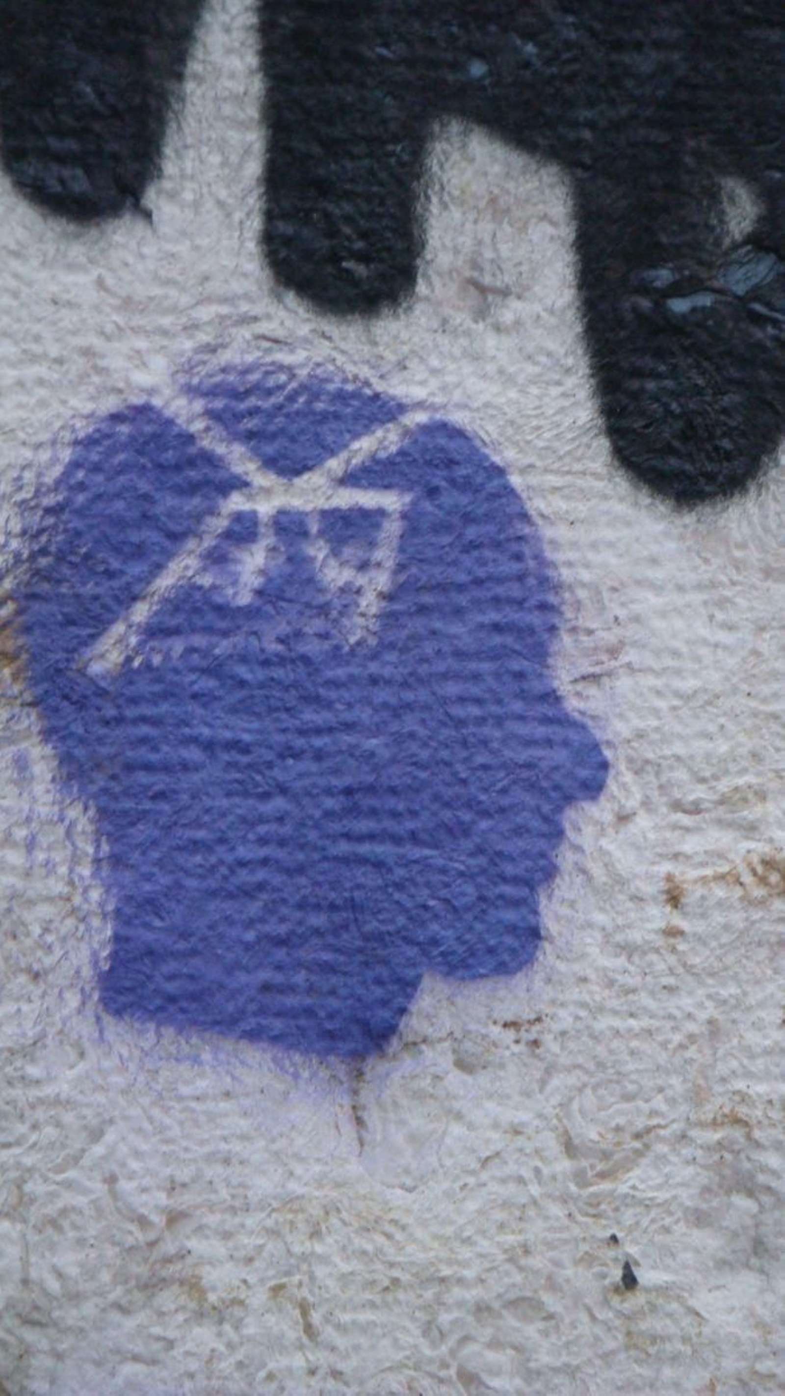 Hermosa cabeza azul.